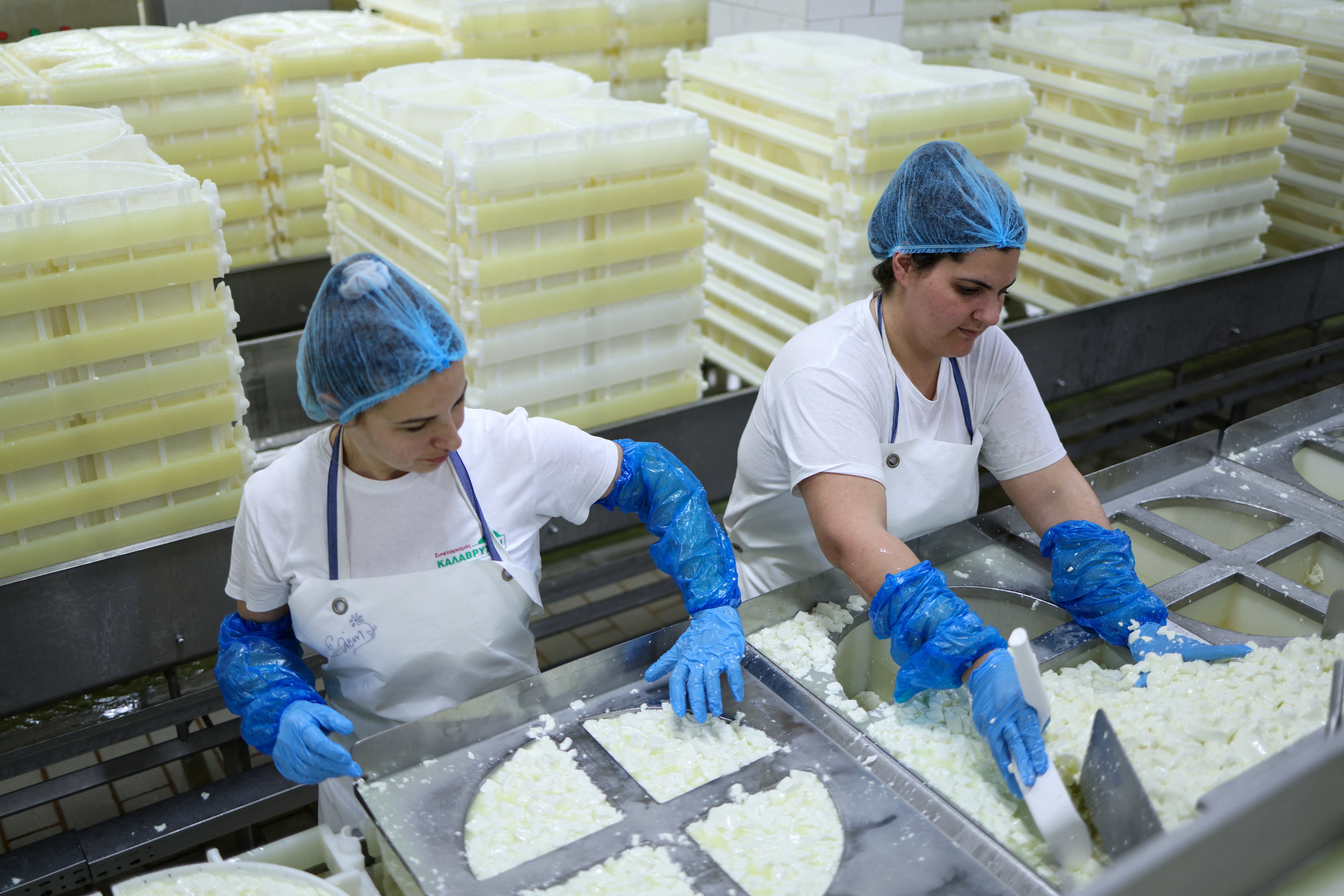 People work at cooperative producing traditional Greek feta cheese in Kalavrita