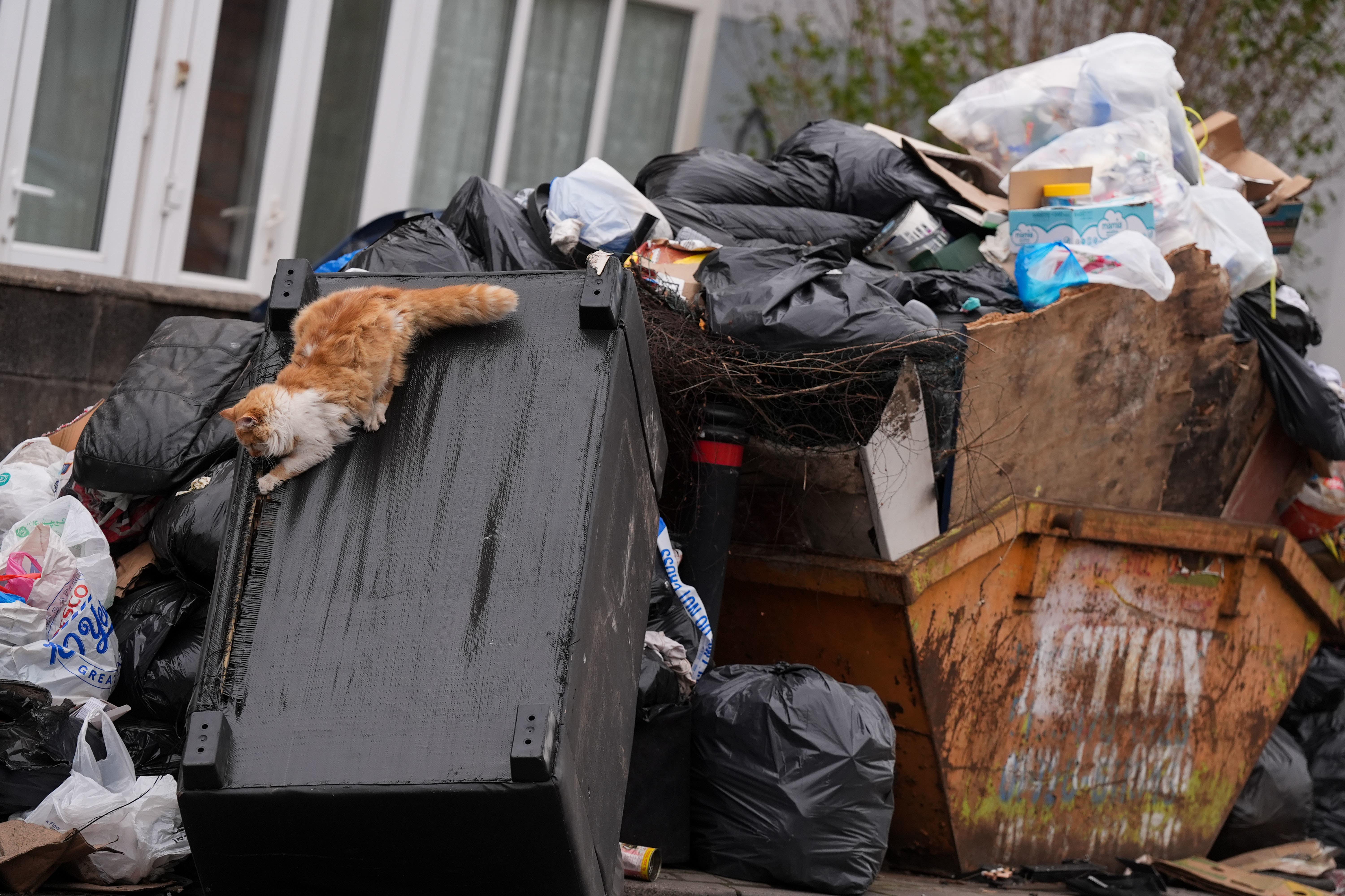 Downing Street said Unite must ‘drop its opposition’ to changes ‘needed’ to resolve equal pay issues (Jacob King/PA)