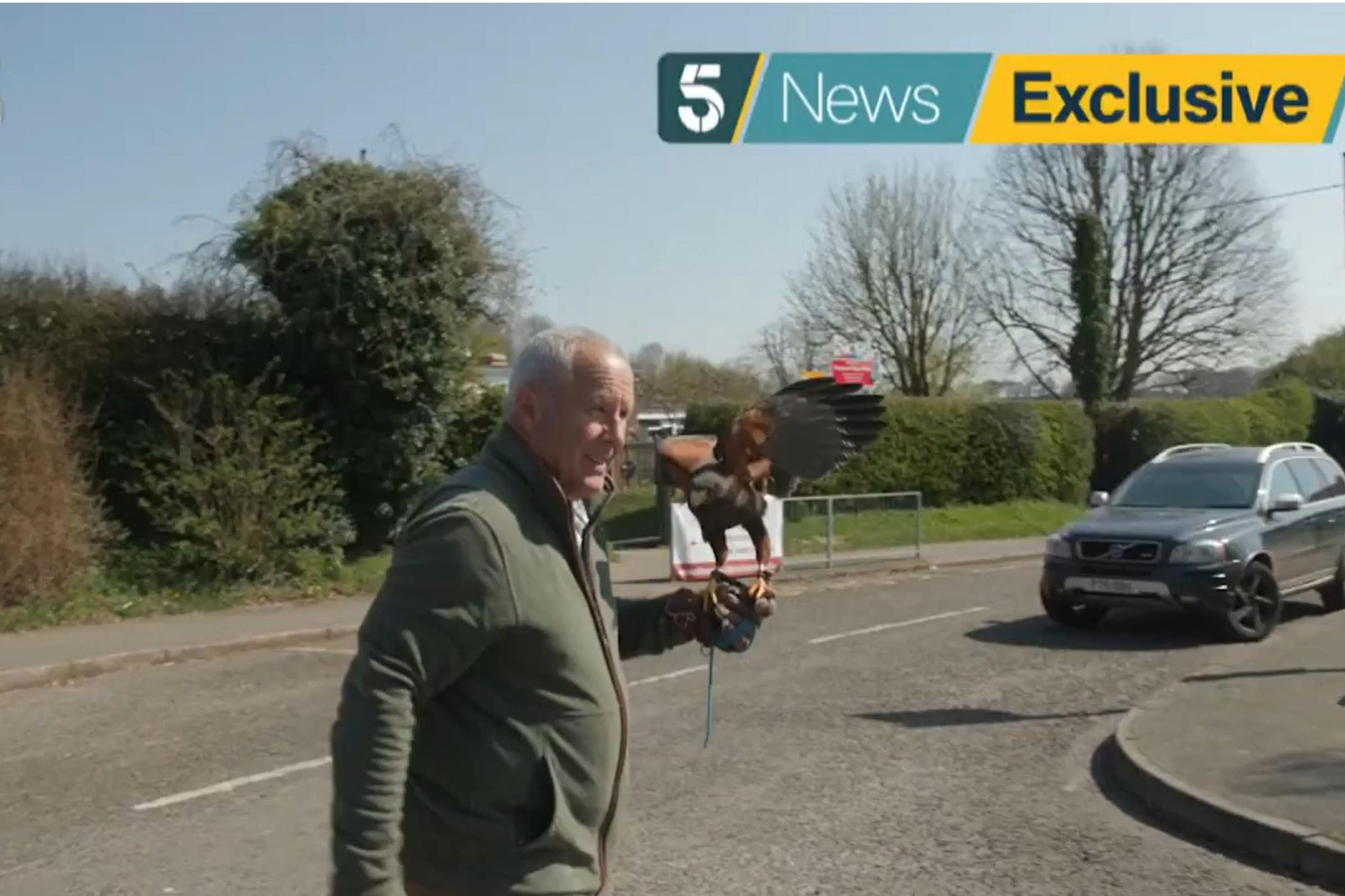 Screengrab of the hawk after its capture (5 News/PA)