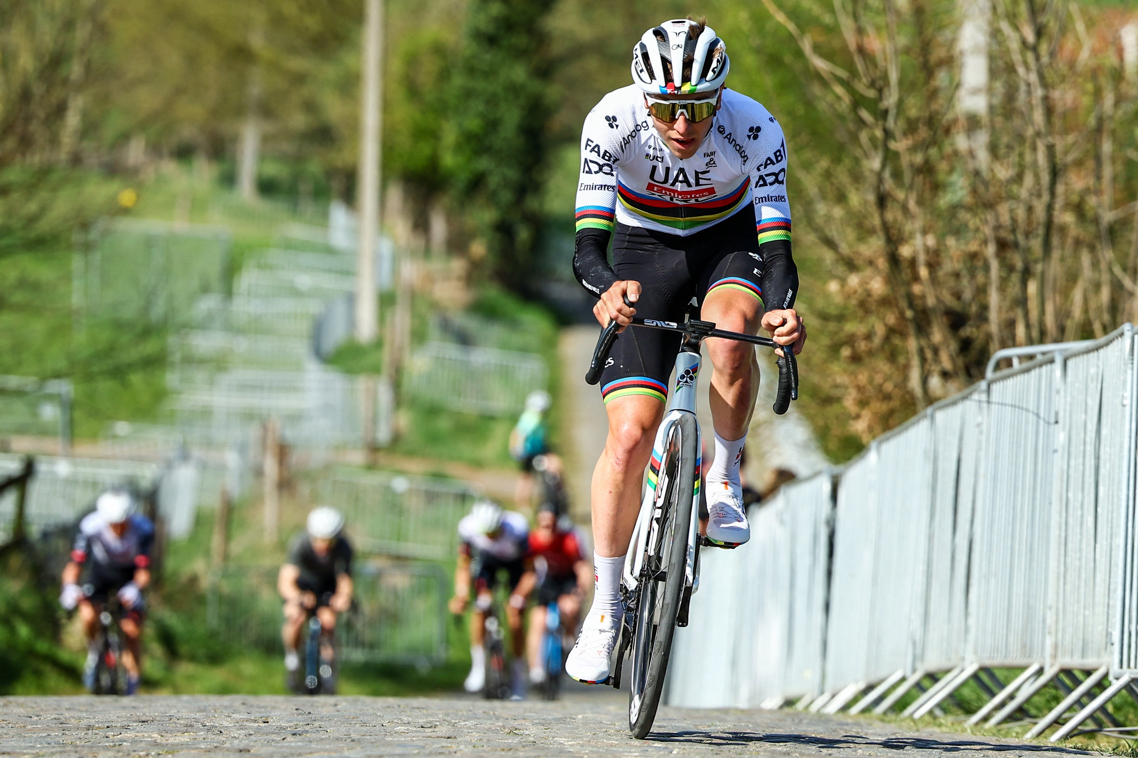 After Van der Poel's Flanders victory in the world champion’s rainbow bands last year, Pogacar (left) could be set to replicate that feat