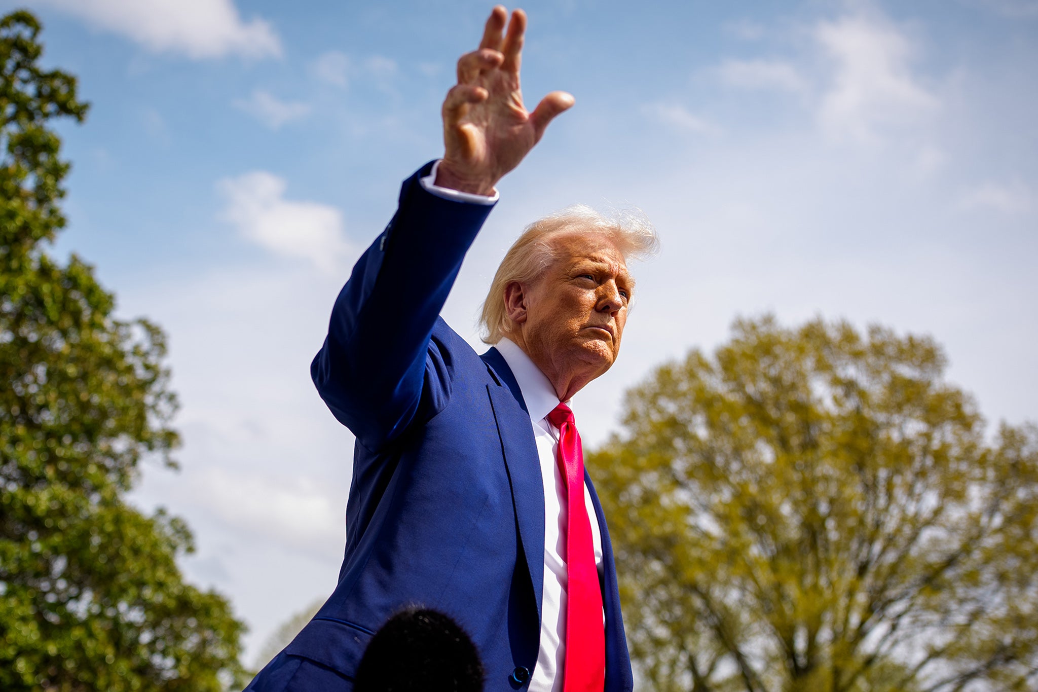 Since Trump came to power, cowardice has become contagious – and there is no known cure