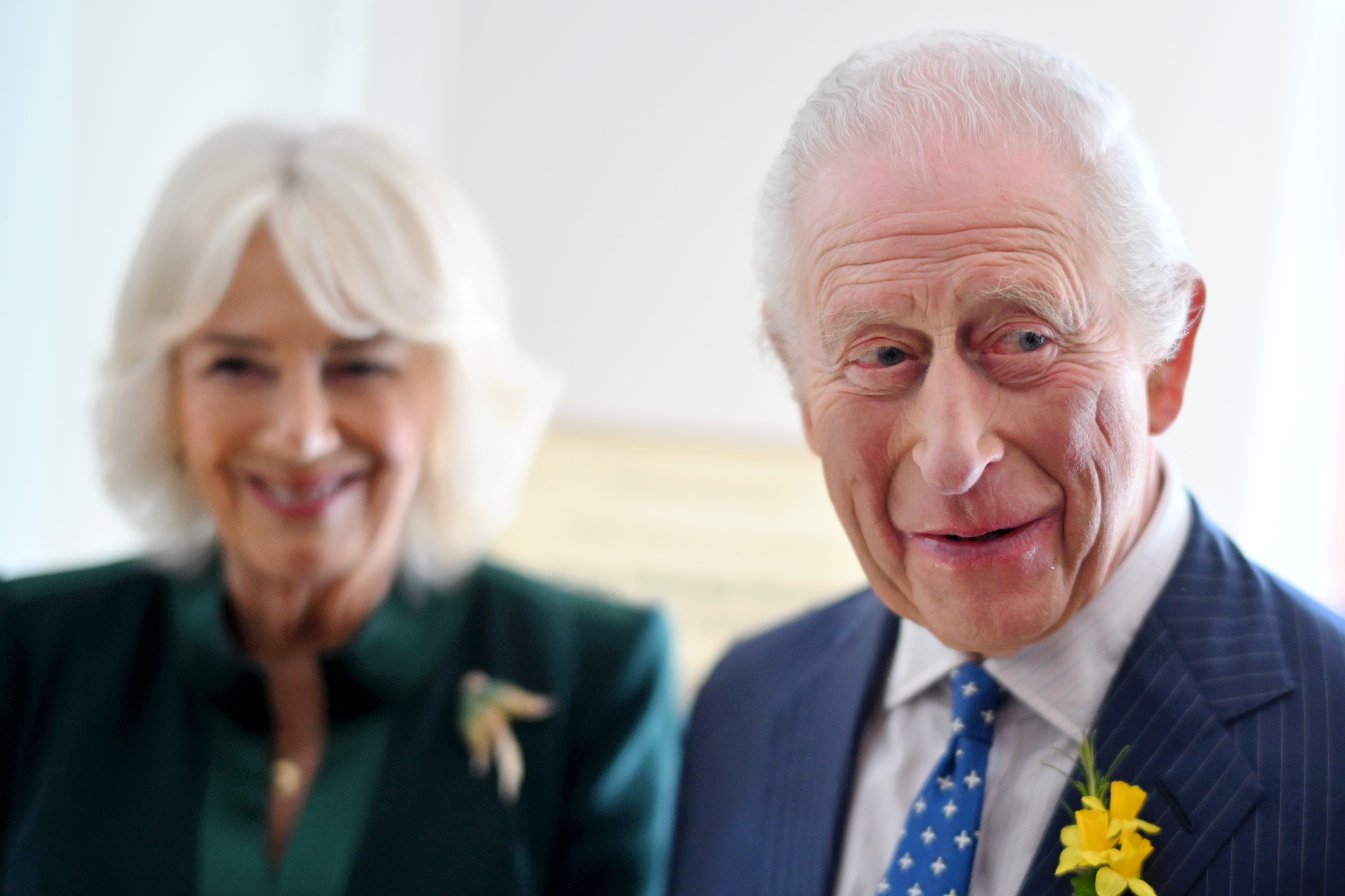 Charles and Camilla will spend their 20th wedding anniversary in Rome, attending a black-tie dinner as part of their state visit (Samir Hussein/PA)