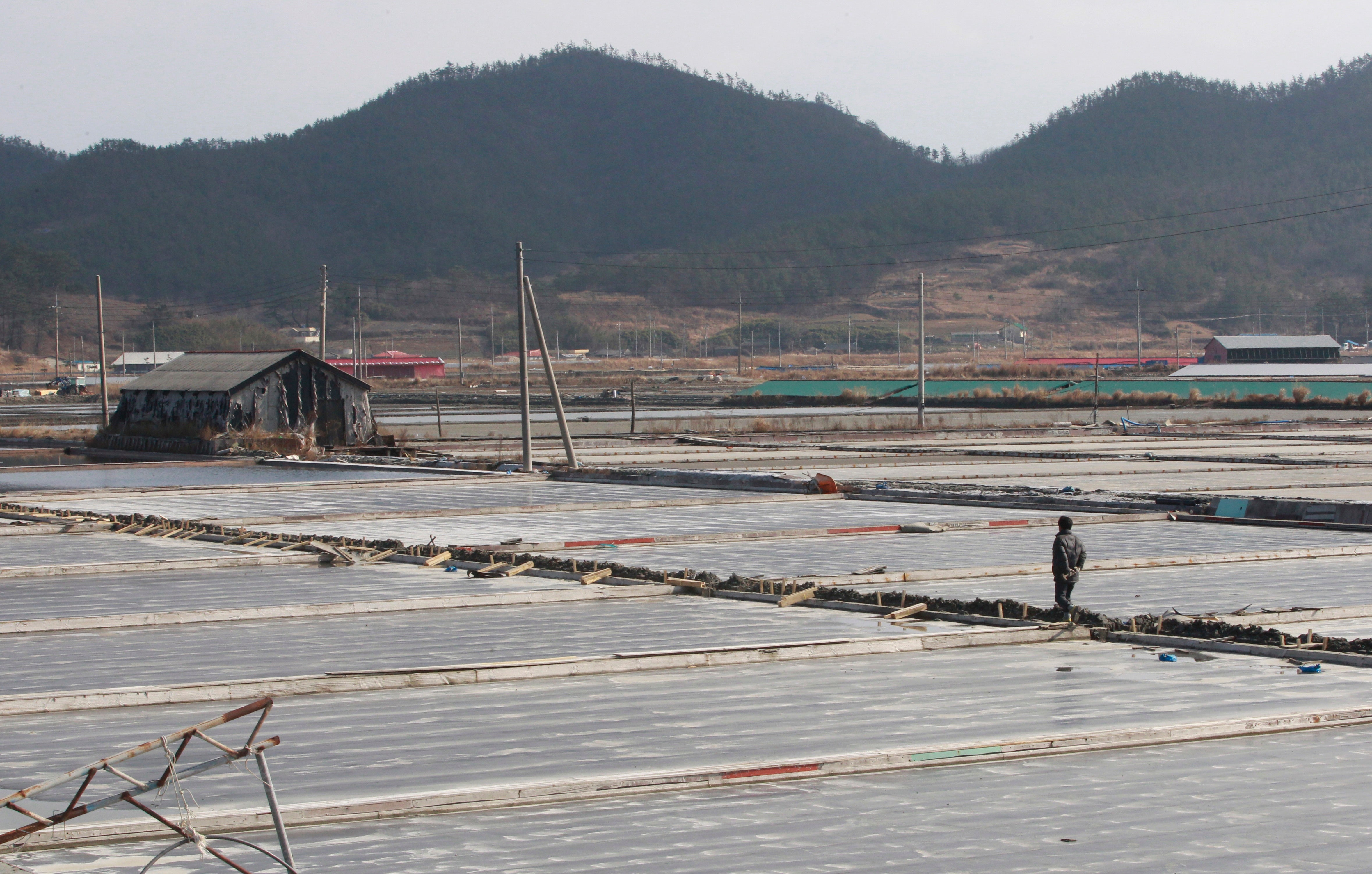 South Korea Salt Farm Slavery