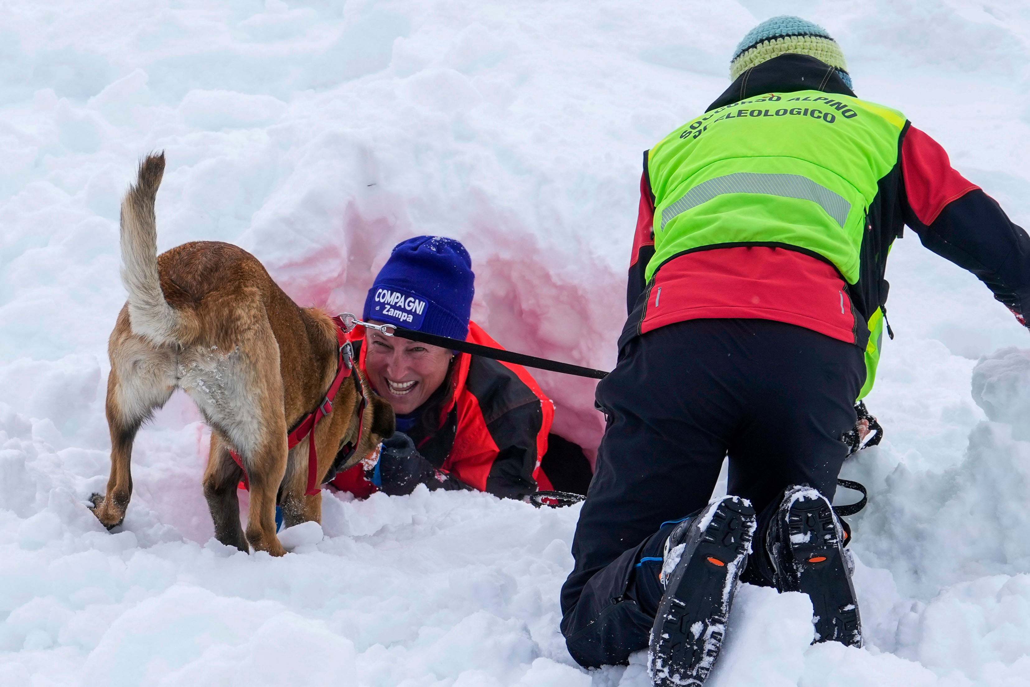 Italy Avalanche Rescue Dogs