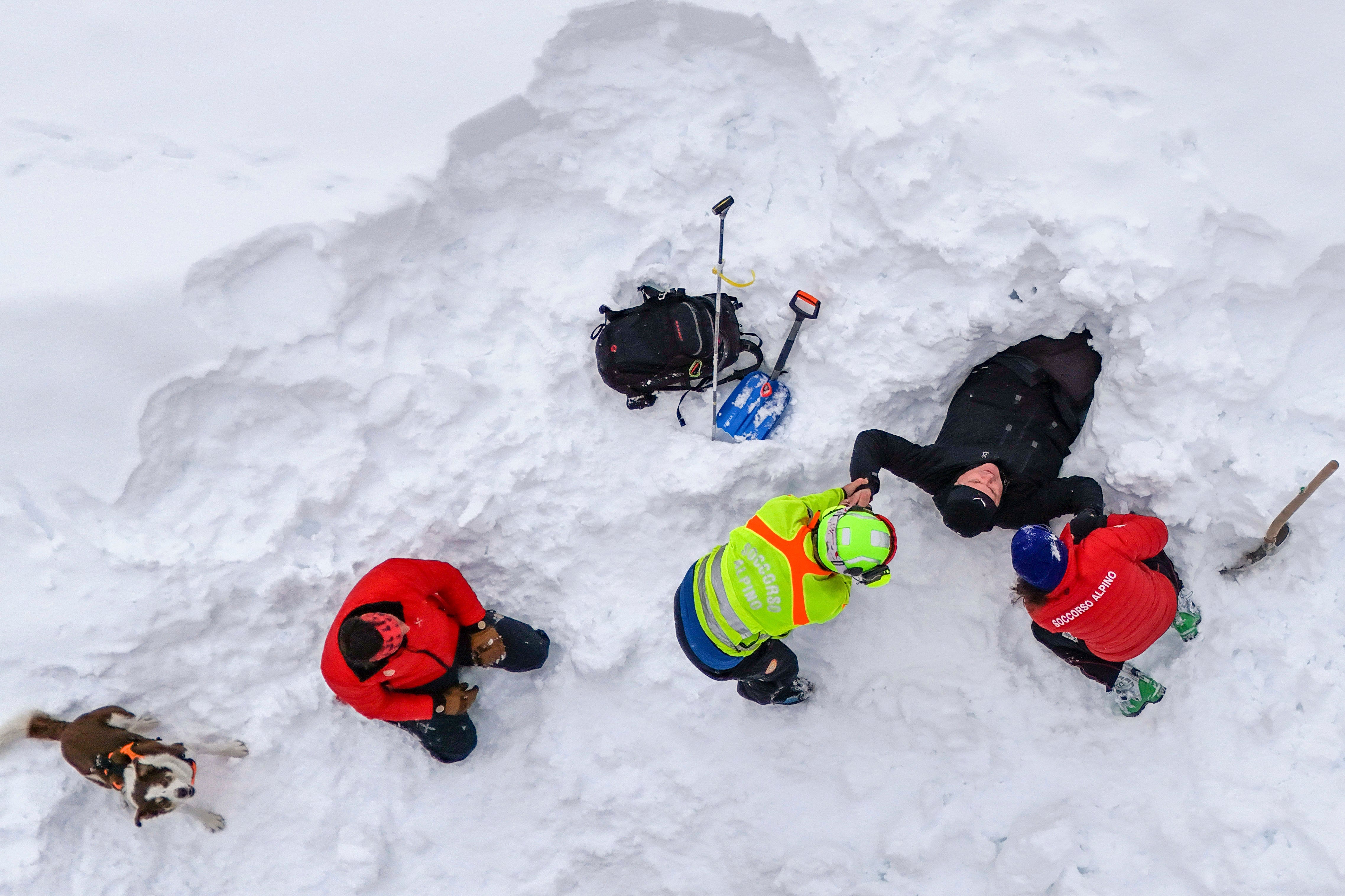 Italy Avalanche Rescue Dogs