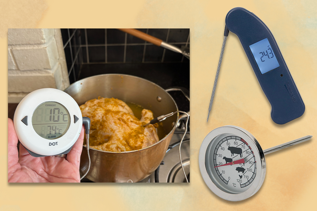 We tested a range of hi-tech and traditional thermometer designs