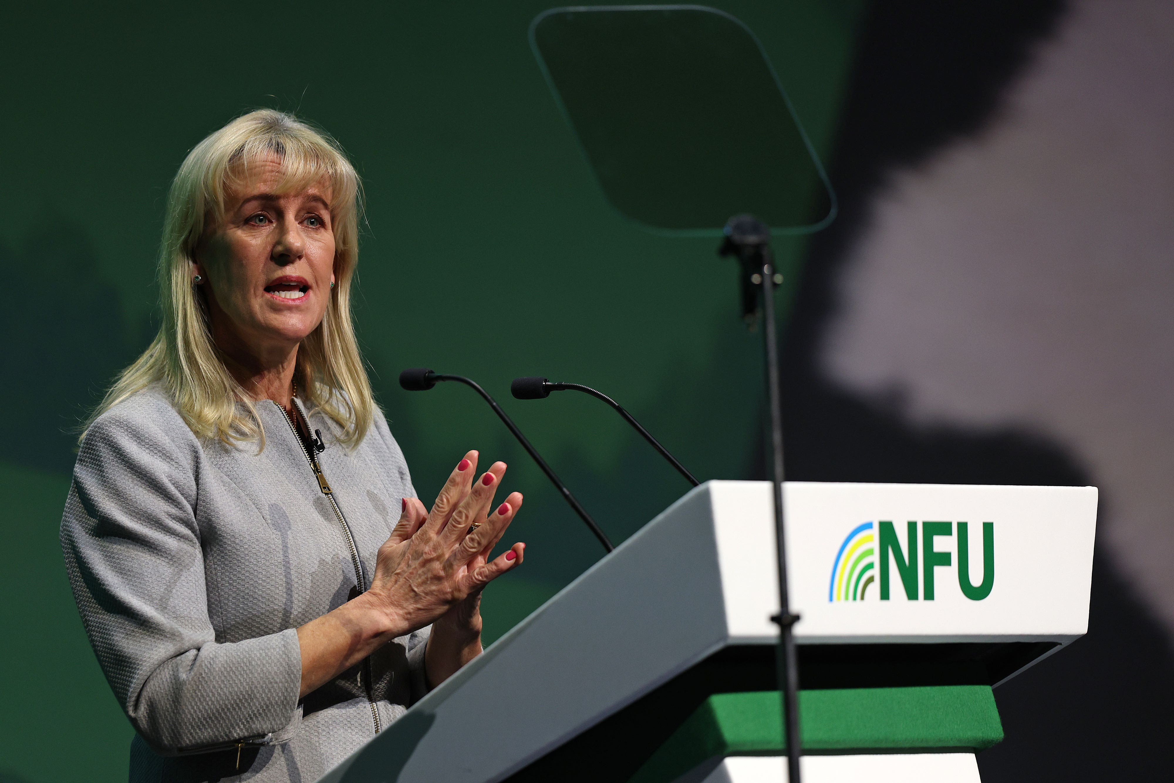 Former National Farmers’ Union president Baroness Minette Batters is to lead a review of farm profitability (Adrian Dennis/PA)