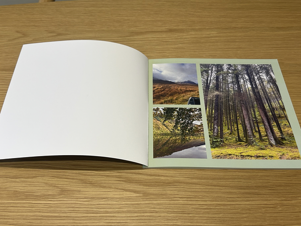 Postsnap testing shots best photobooks indybest