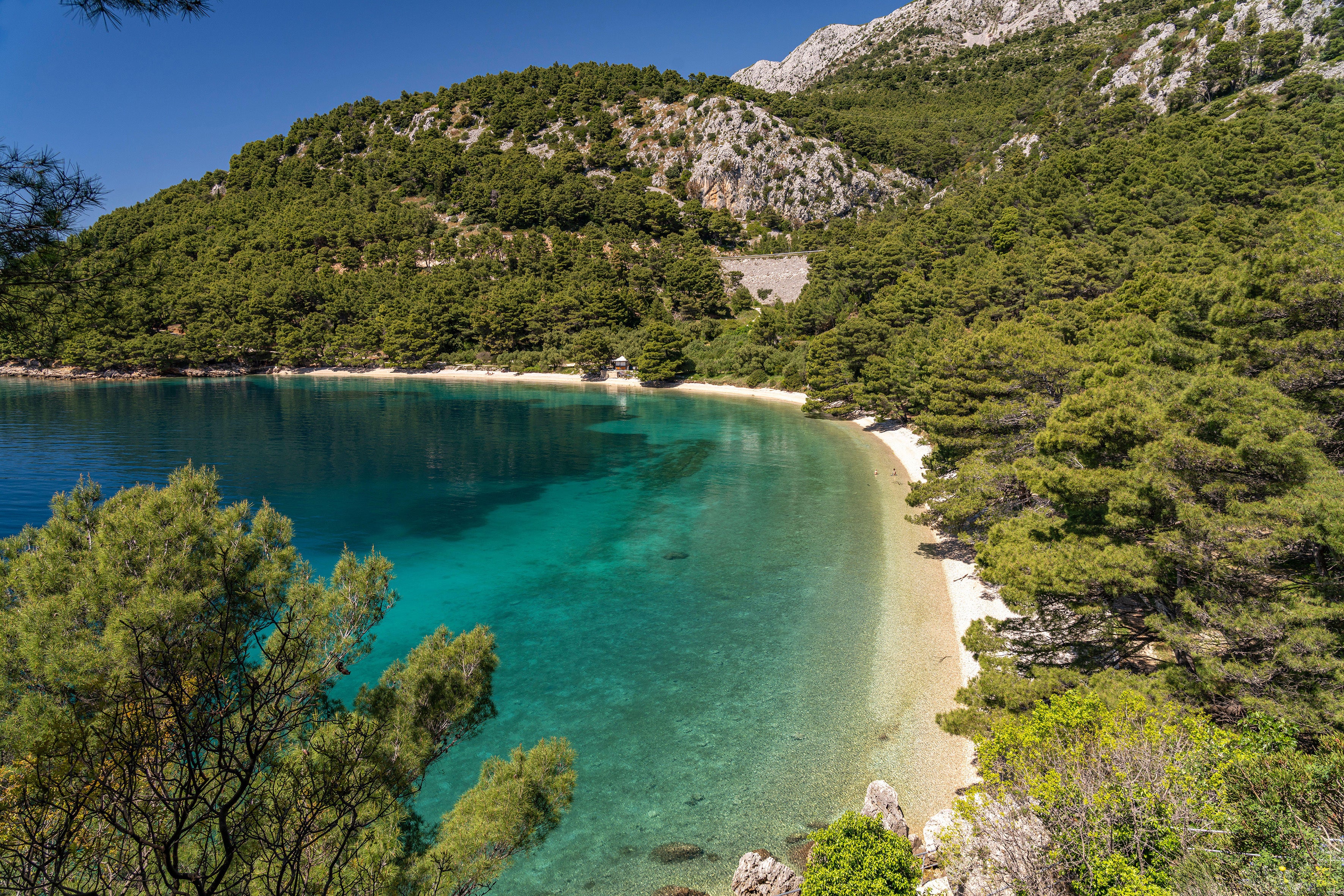 Surrounded by fragrant pines, Velika Duba beach in the Makarska Riviera is a true escape