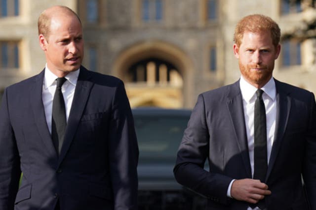<p>Princes William and Harry nicknamed the bodyguard ‘Crackers’</p>