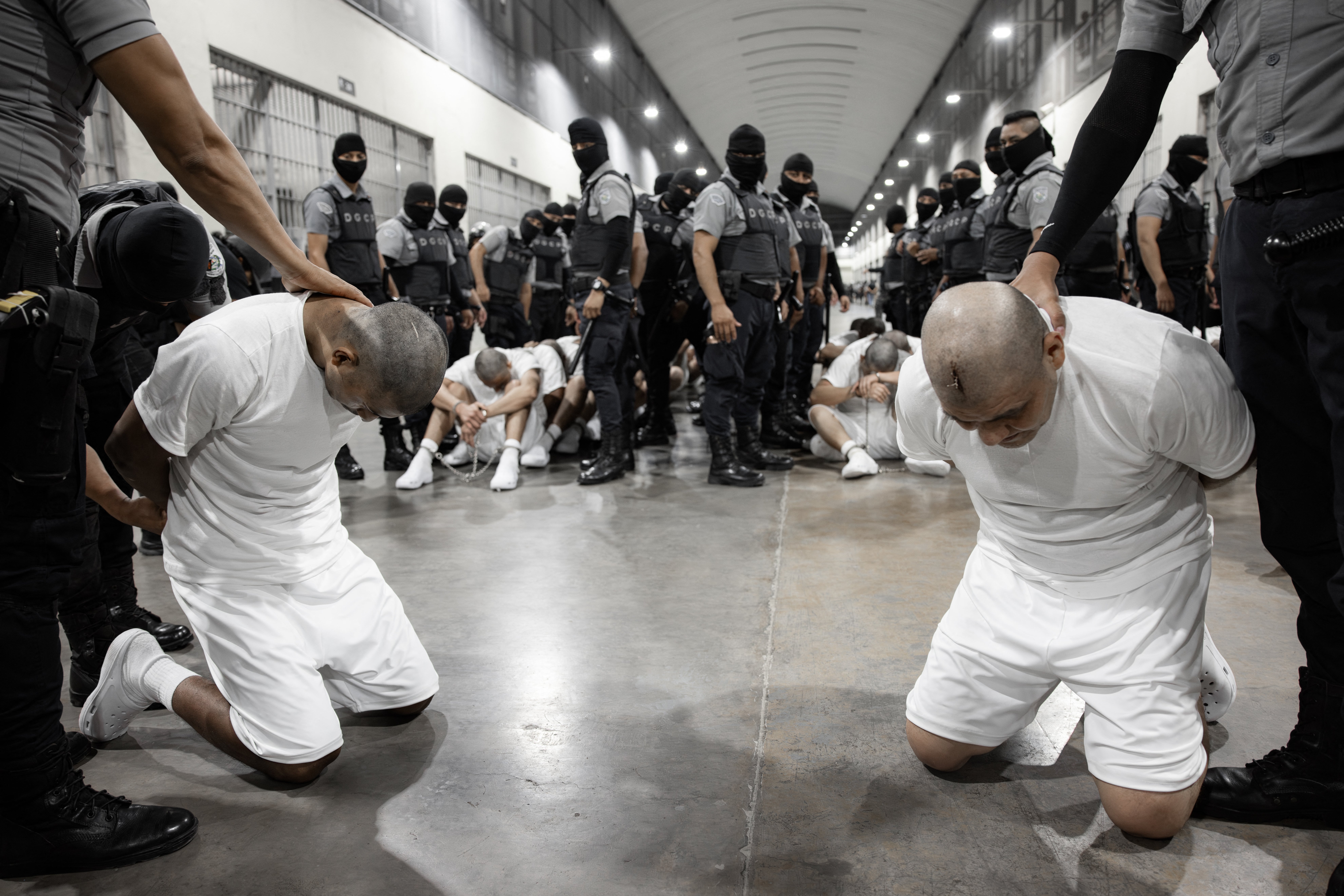 A photograph from the Salvadoran government on March 16 shows the arrival of Venezuelan immigrants deported to El Salvador’s mega prison after Trump invoked the Alien Enemies Act