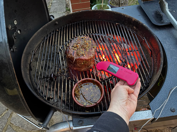 Thermapen testing best meat thermometers review indybest