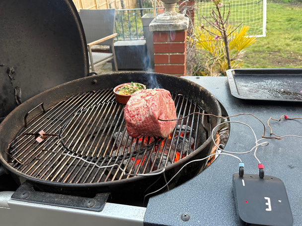 Weber testing best meat thermometers review indybest