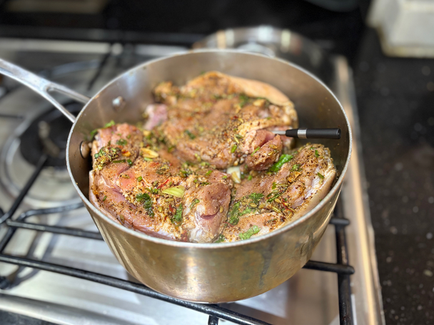 Witt testing best meat thermometers review indybest