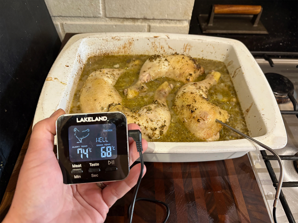 Lakeland testing best meat thermometers review indybest