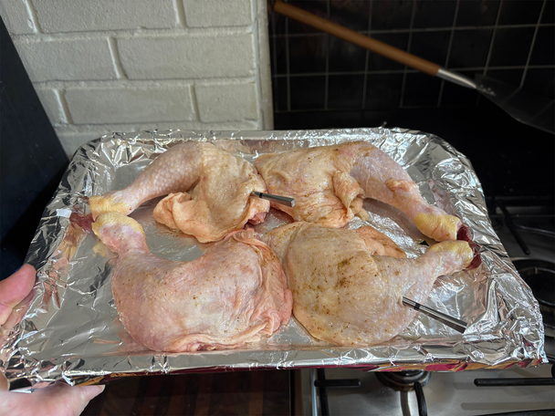 Meater duo testing best meat thermometers review indybest