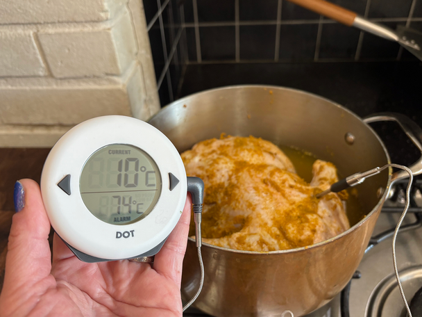 Thermapen dot testing best meat thermometers review indybest