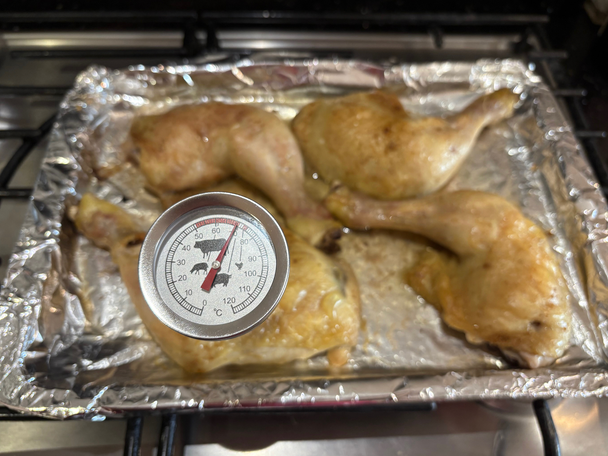 Souschef testing best meat thermometers review indybest