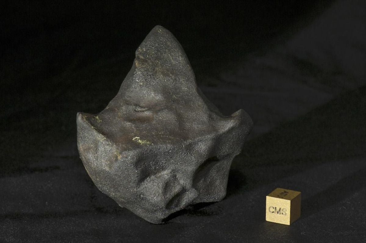 This 146 gram stone is on loan to the Buseck Center for Meteorite Studies from Michael Farmer