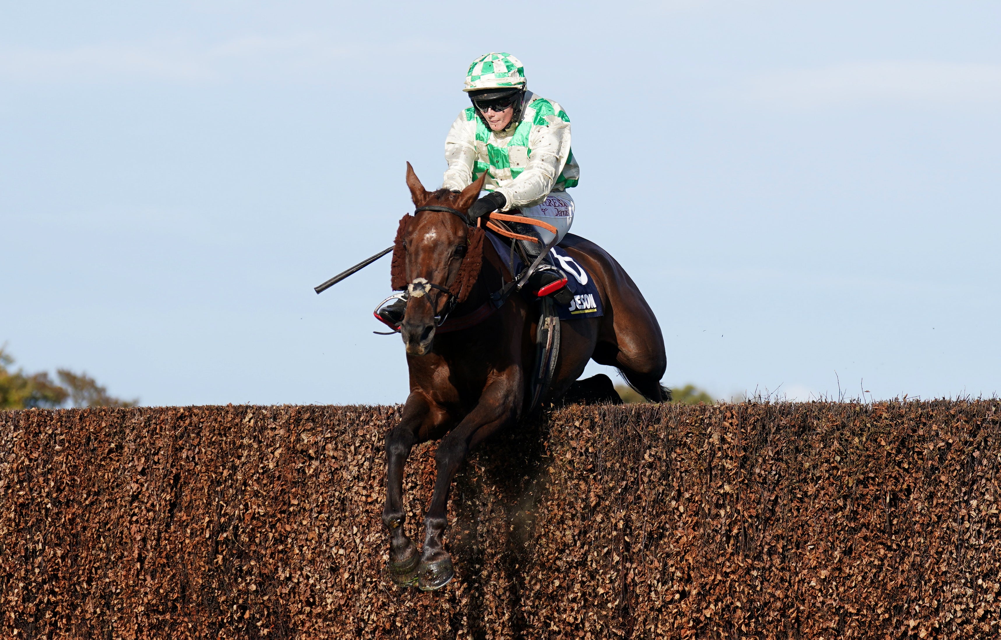 Celebre d’Allen has died after collapsing at the Grand National