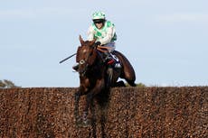 Animal rights groups respond to ‘heartbreaking’ death of Celebre d’Allen at Grand National