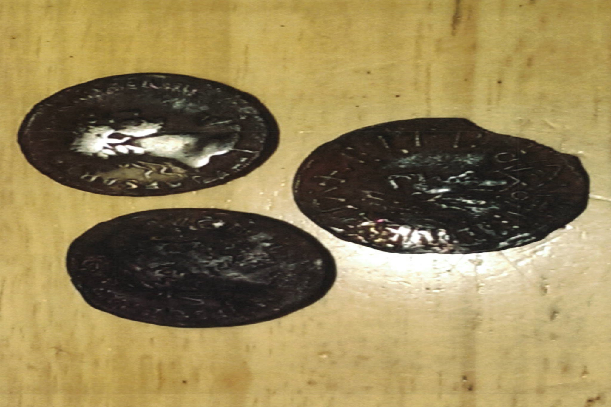 Coins from the Viking hoard found by Powell and Davies