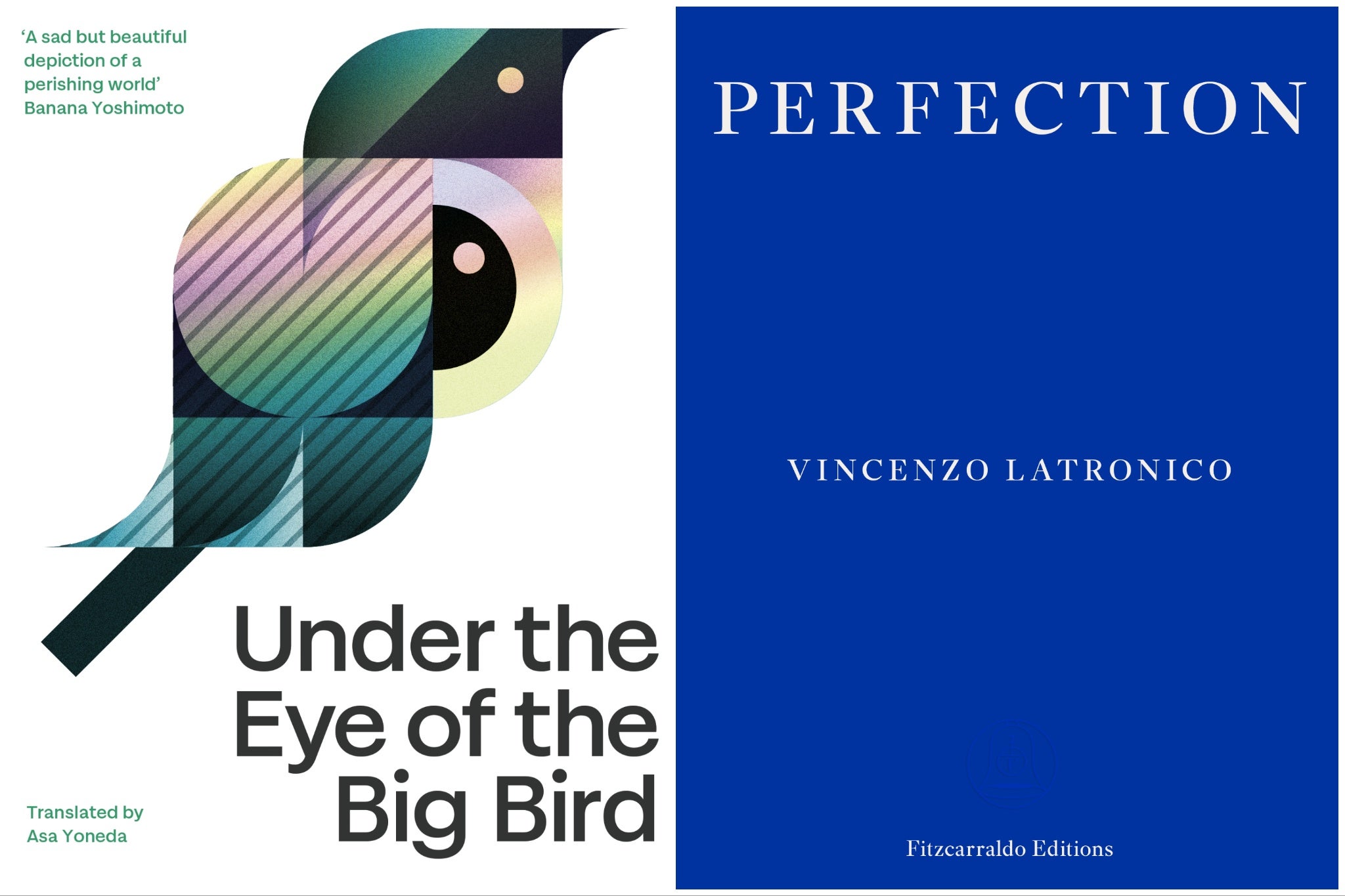 ‘Under the Eye of the Big Bird’ by Hiromi Kawakami and ‘Perfection’ by Vincenzo Latronico