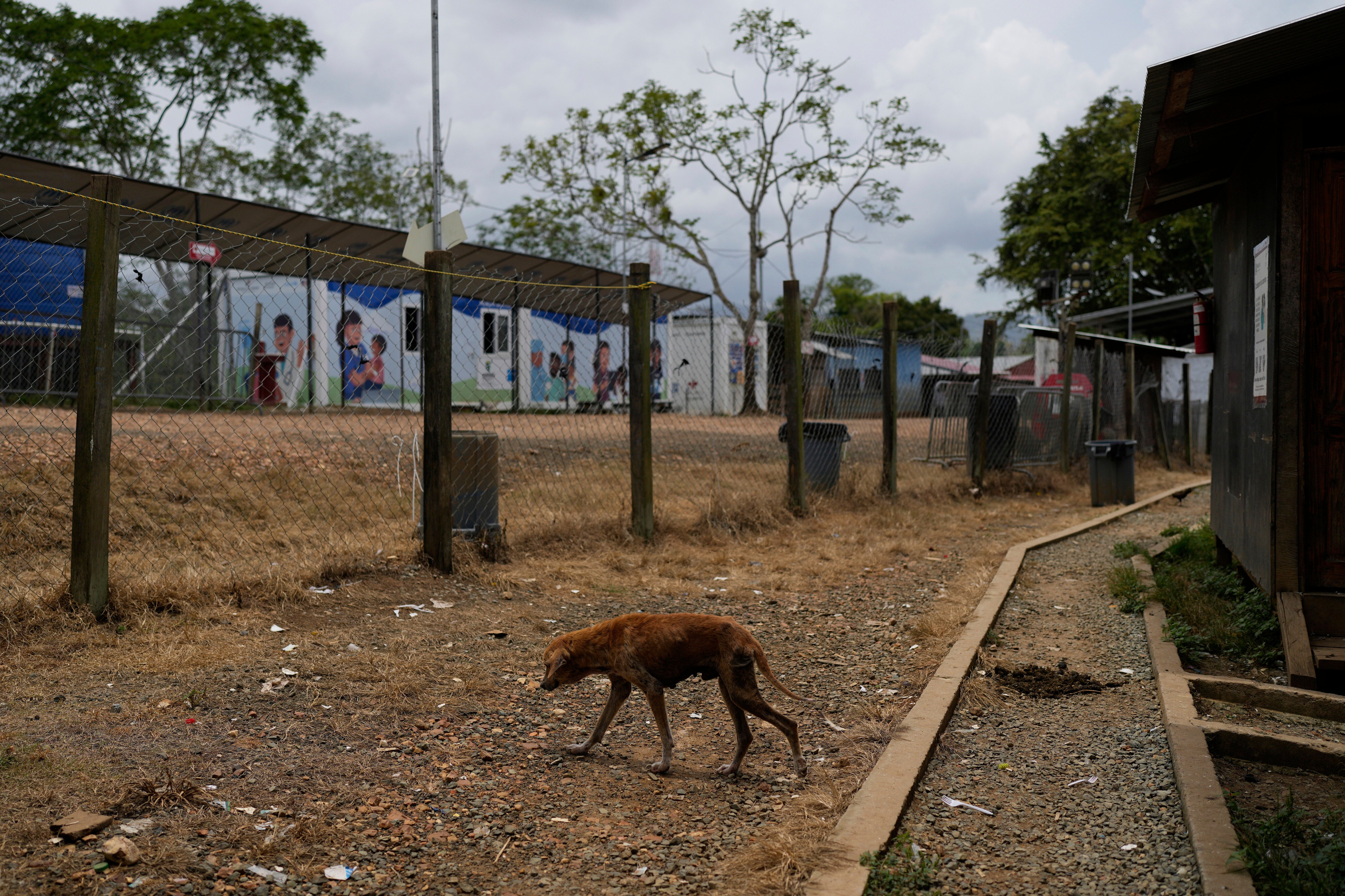 Panama Darien Gap Migration