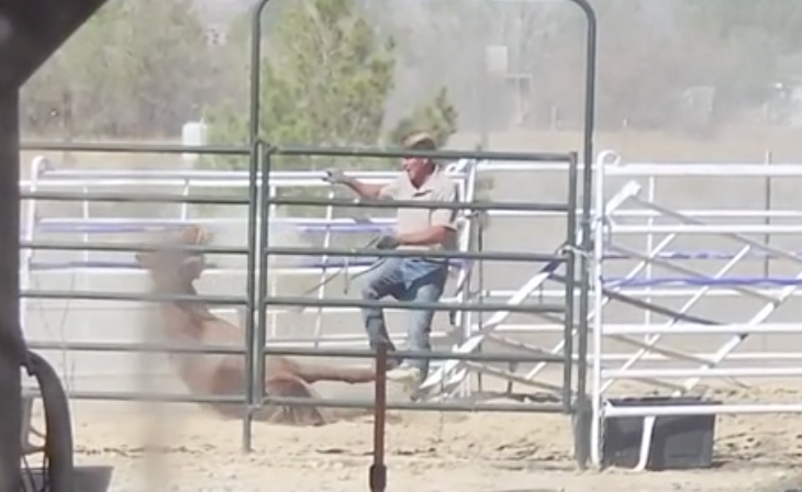 Veterinarian Shawn Frehner (pictured) has gone missing outside of Las Vegas after a resident shared a viral video that shows him kicking a horse. He's now being investigated for felony animal abuse, police say