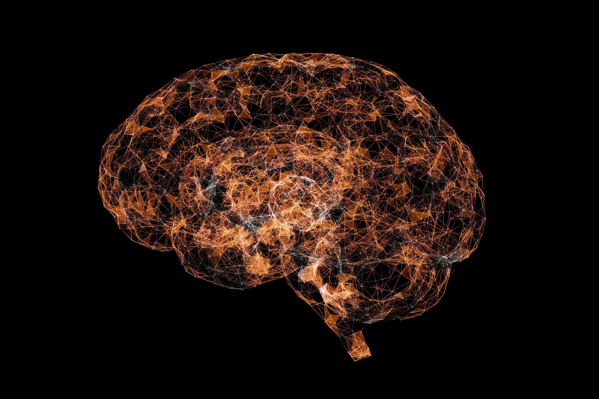 Researchers at Stanford University observed electrical activity travelling along a brain circuit after recreating it in a lab dish