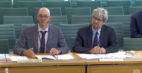 Mr Coatti giving evidence in UK parliament previously
