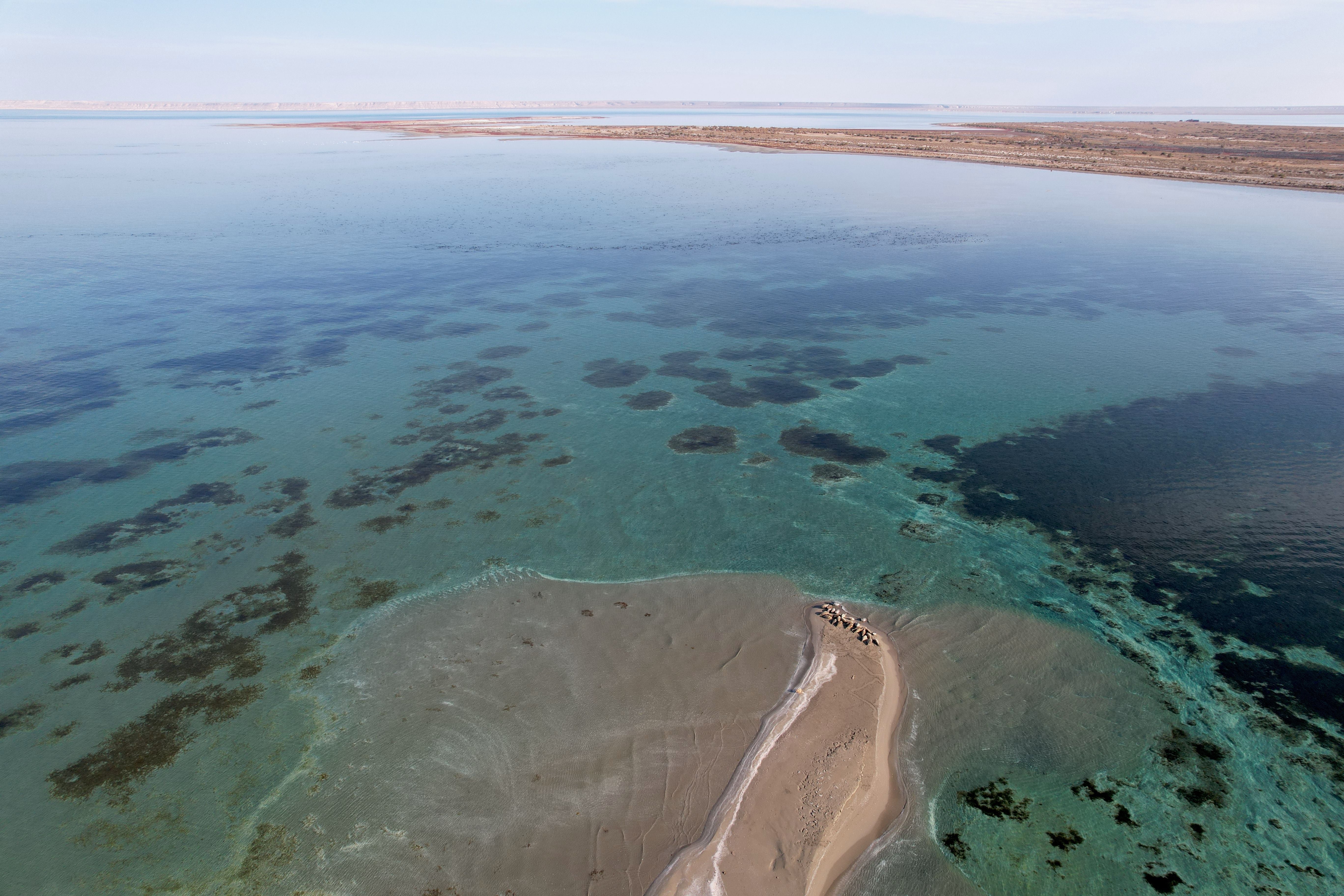 The sea level decline would also make all areas on land where the seals rest inaccessible, the researchers said. They recommend affected communities take urgent action in response to the threat