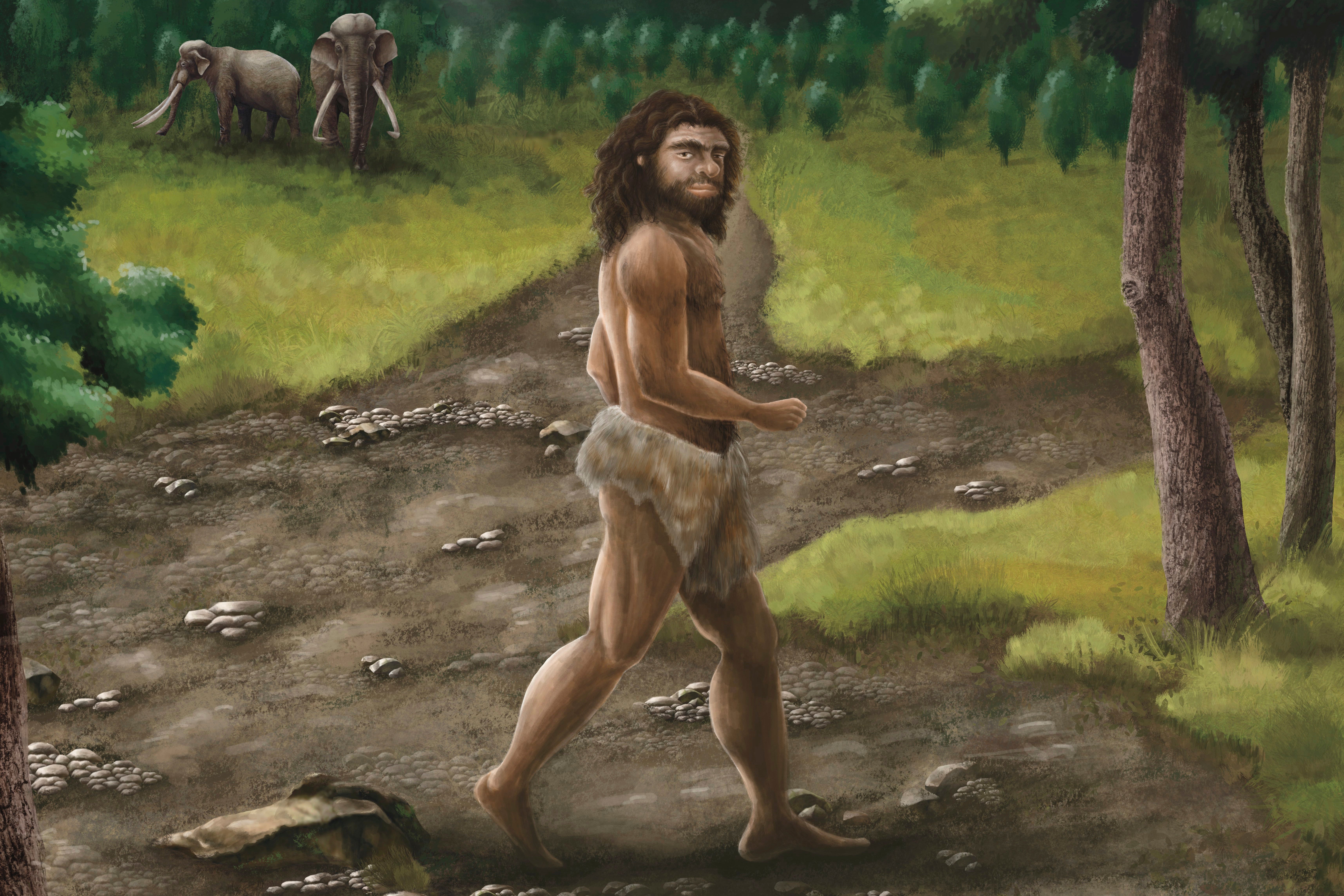 This illustration provided by researchers in April 2025 depicts a Denisovan male in Taiwan in the Pleistocene era about 2.6 million to 11,700 years ago. (Cheng-Han Sun via AP)