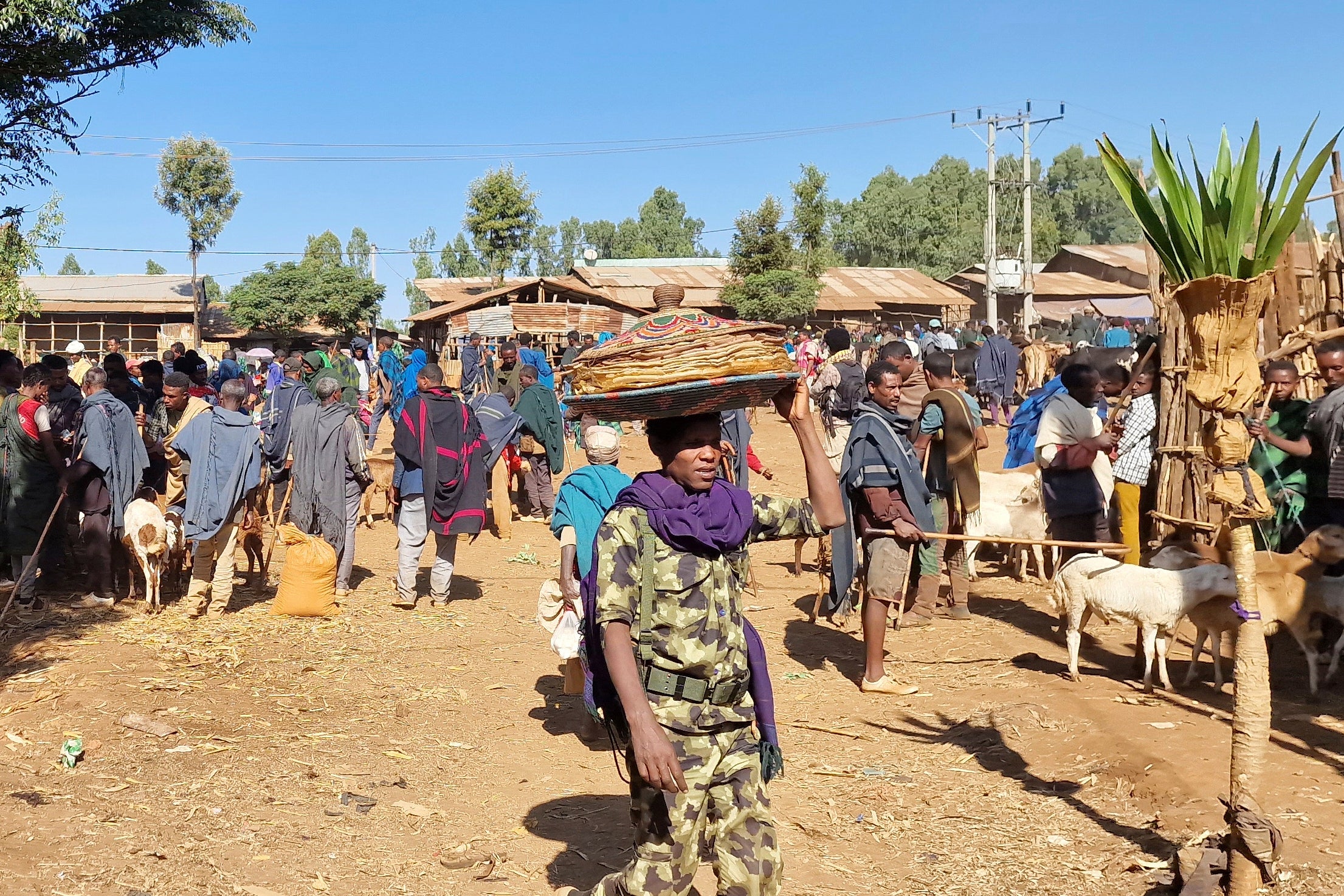 Ethiopia Amhara Rebels