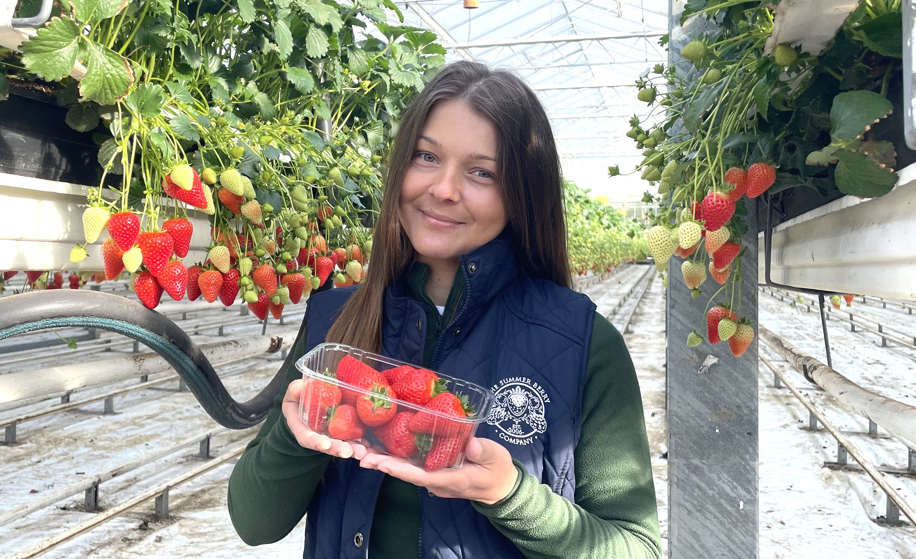 The Summer Berry Company’s quality manager Silvia Sandu shows off some of the strawberries