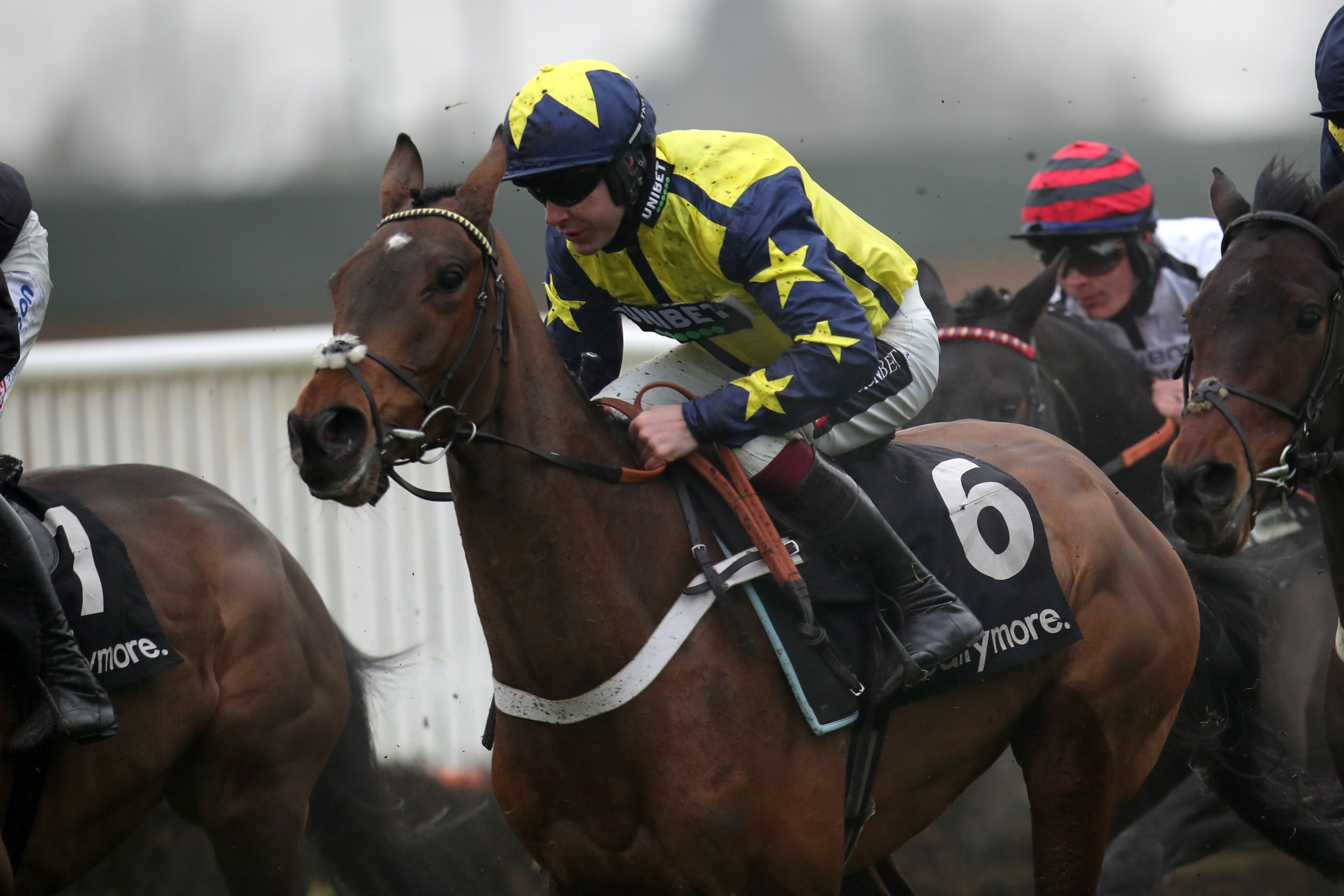 Surrey Quest aims to impress at Ayr this weekend