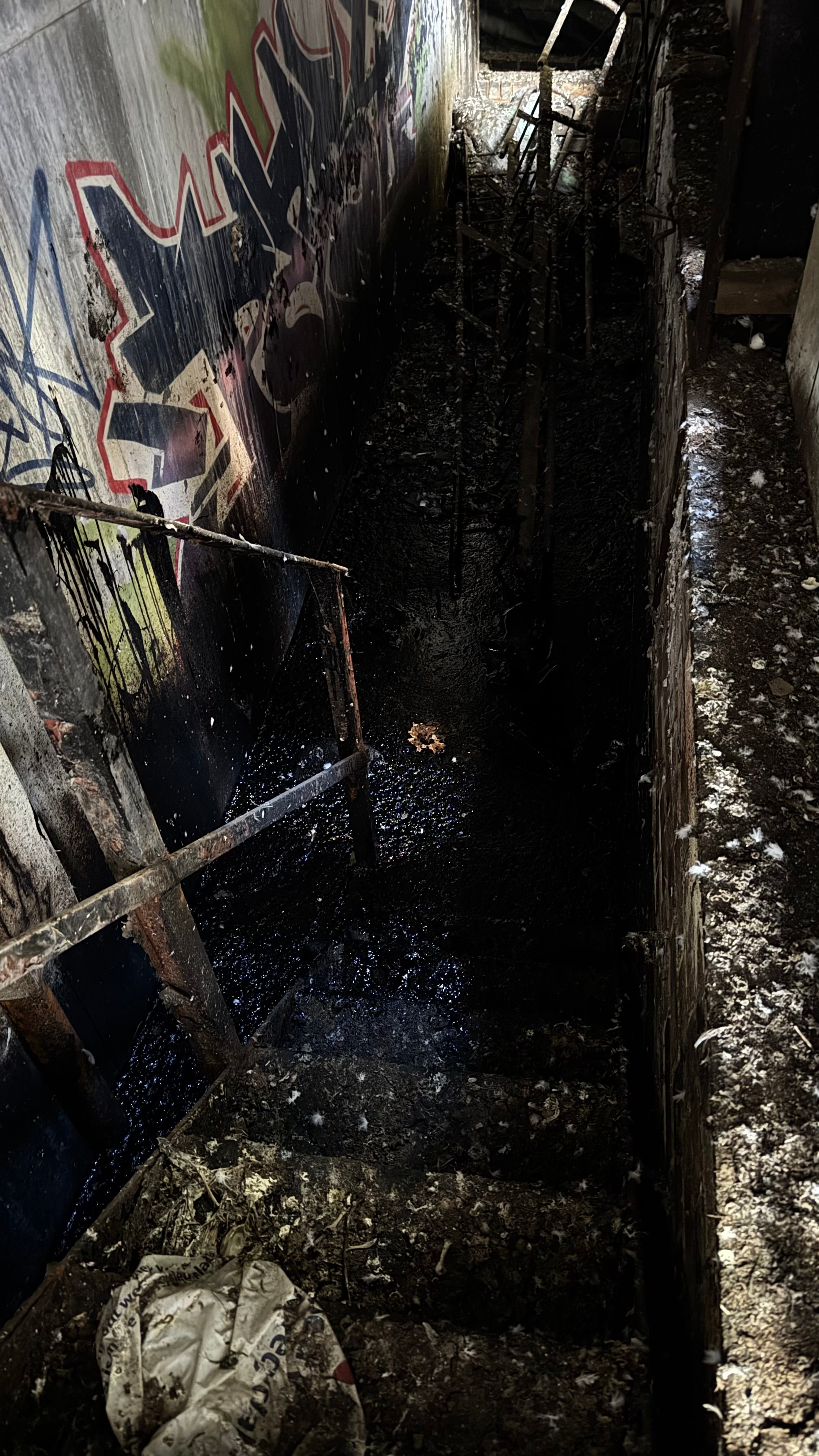 The fox with its head just peering above the oil