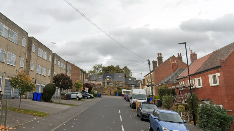 The dog was cornered in a dead end in Bank House Road
