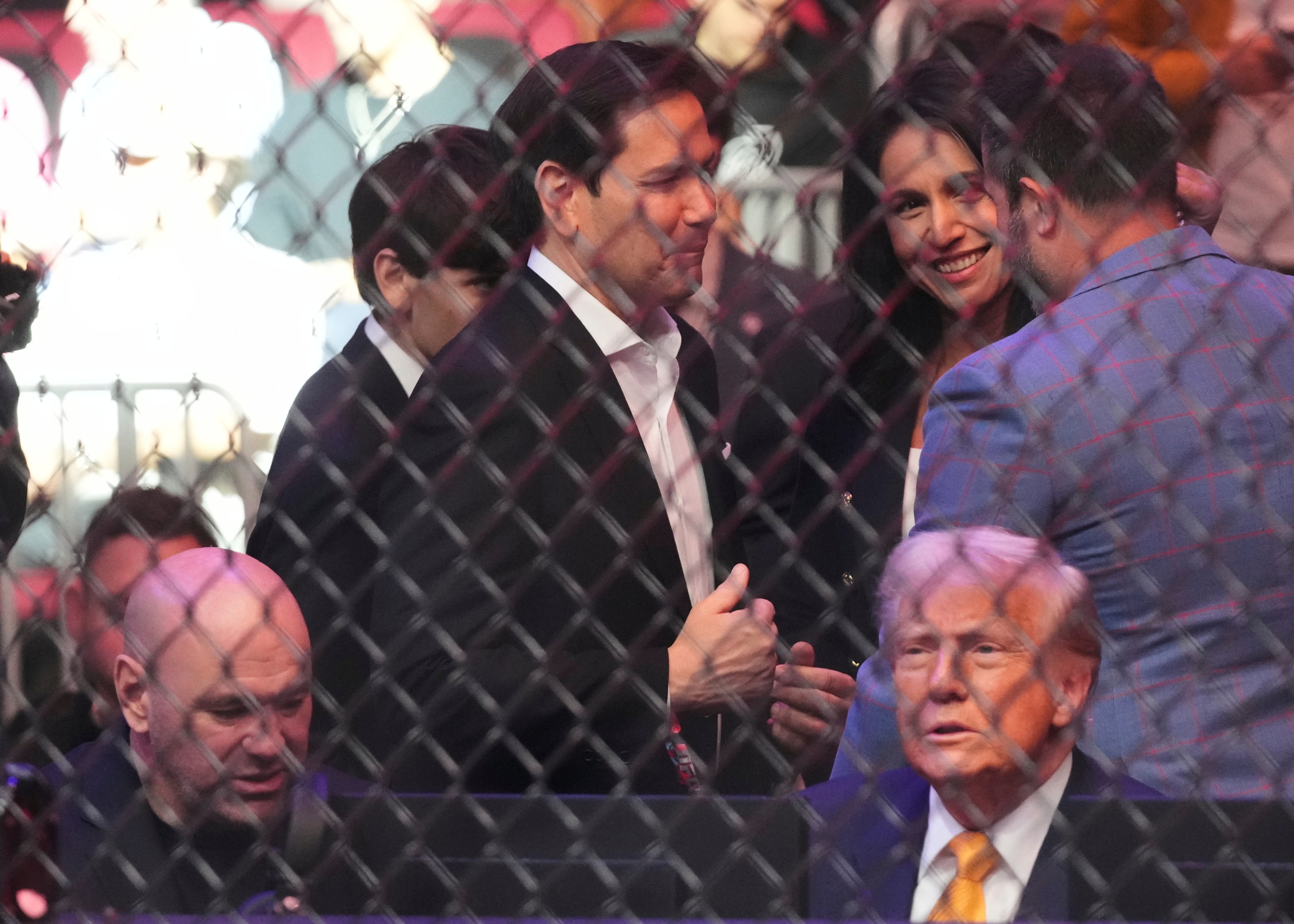 President Donald Trump, seated from right, UFC CEO Dana White and standing from right, Director of National Intelligence Tulsi Gabbard and Secretary of State Marco Rubio attend a mixed martial arts fight at UFC 314, Saturday, April 12, 2025, in Miami. (AP Photo/Lynne Sladky)