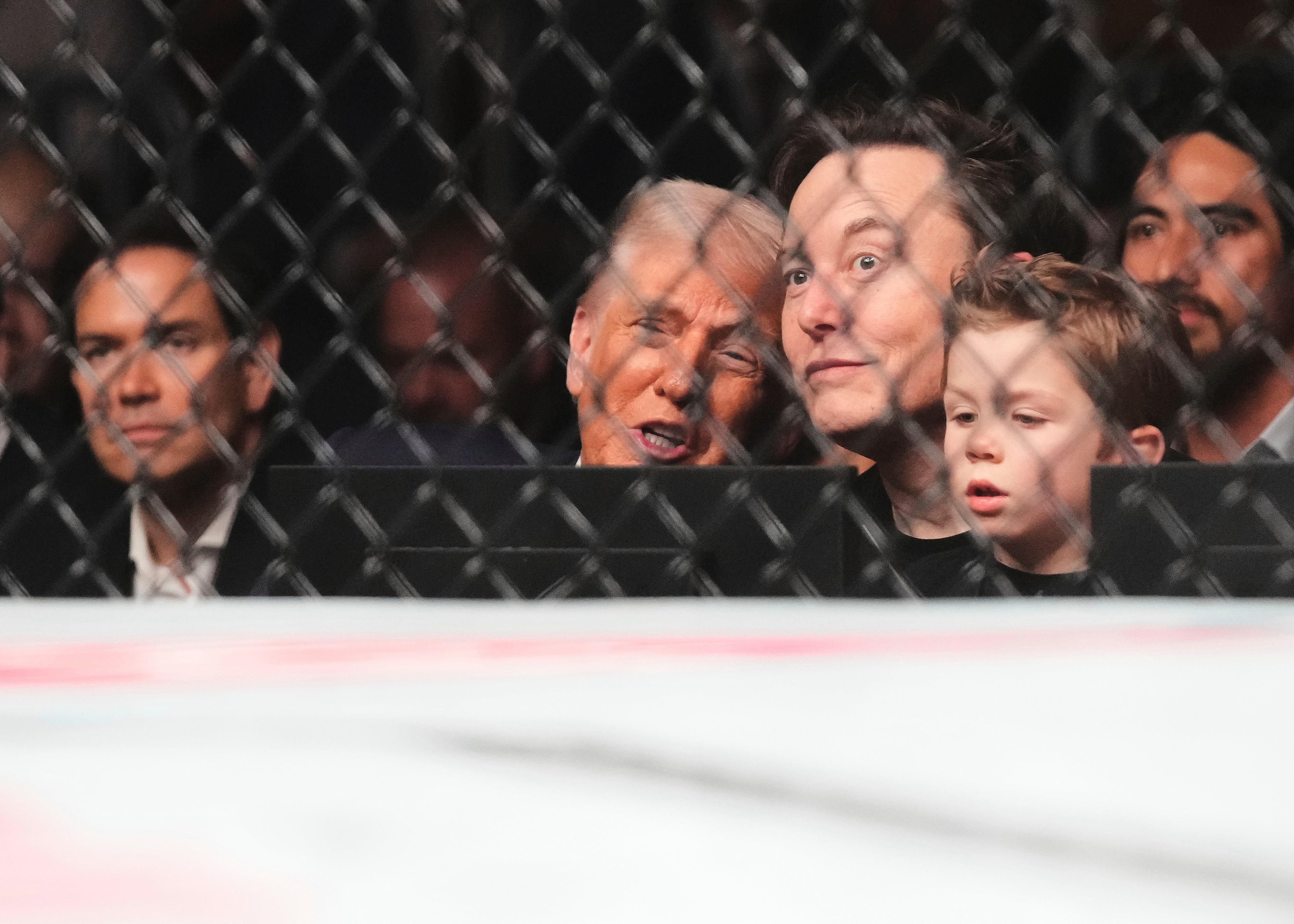 President Donald Trump talks with Elon Musk at a UFC fight event