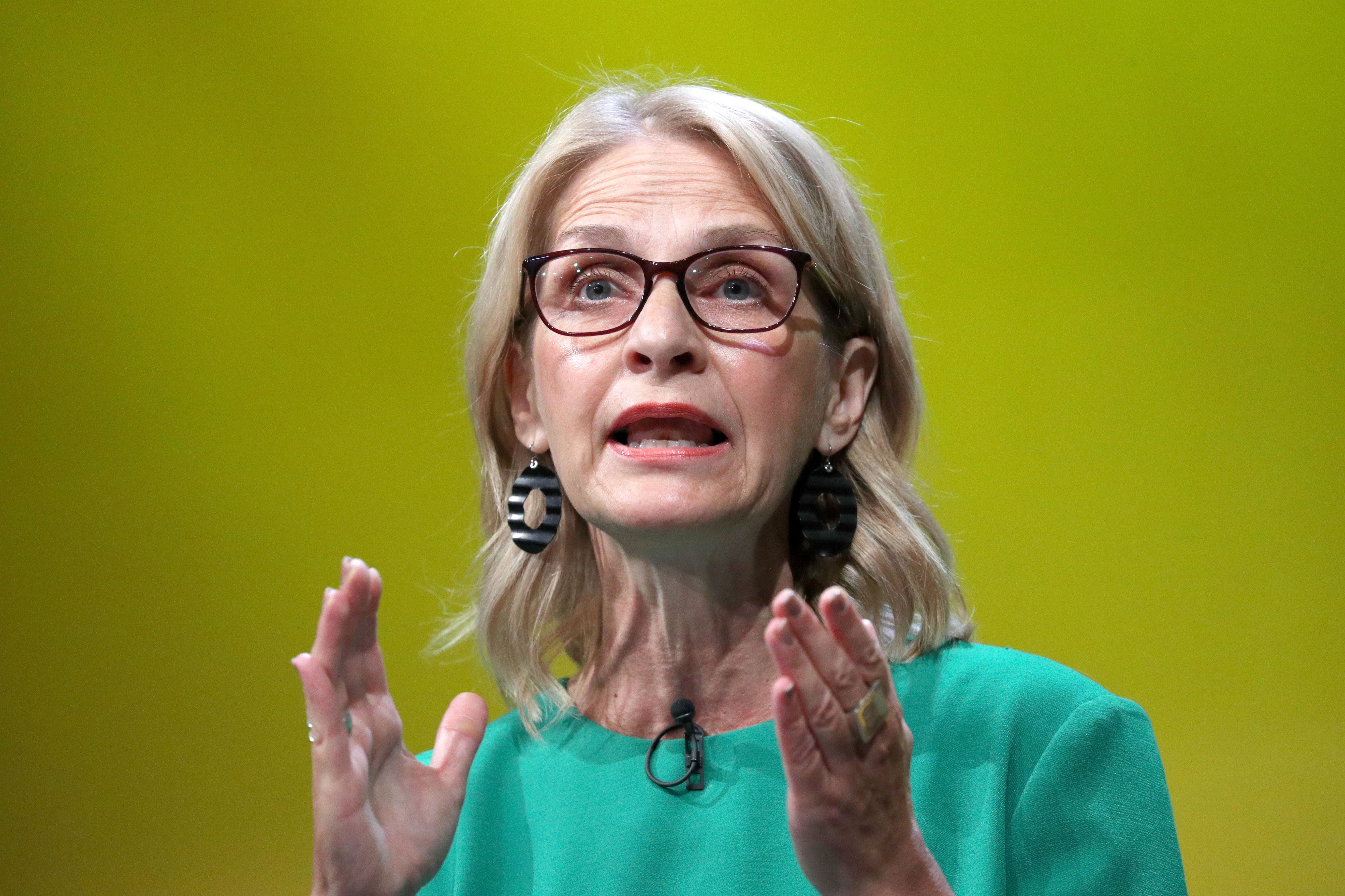 Liberal Democrat MP for Bath Wera Hobhouse was denied entry to Hong Kong (Jonathan Brady/PA)