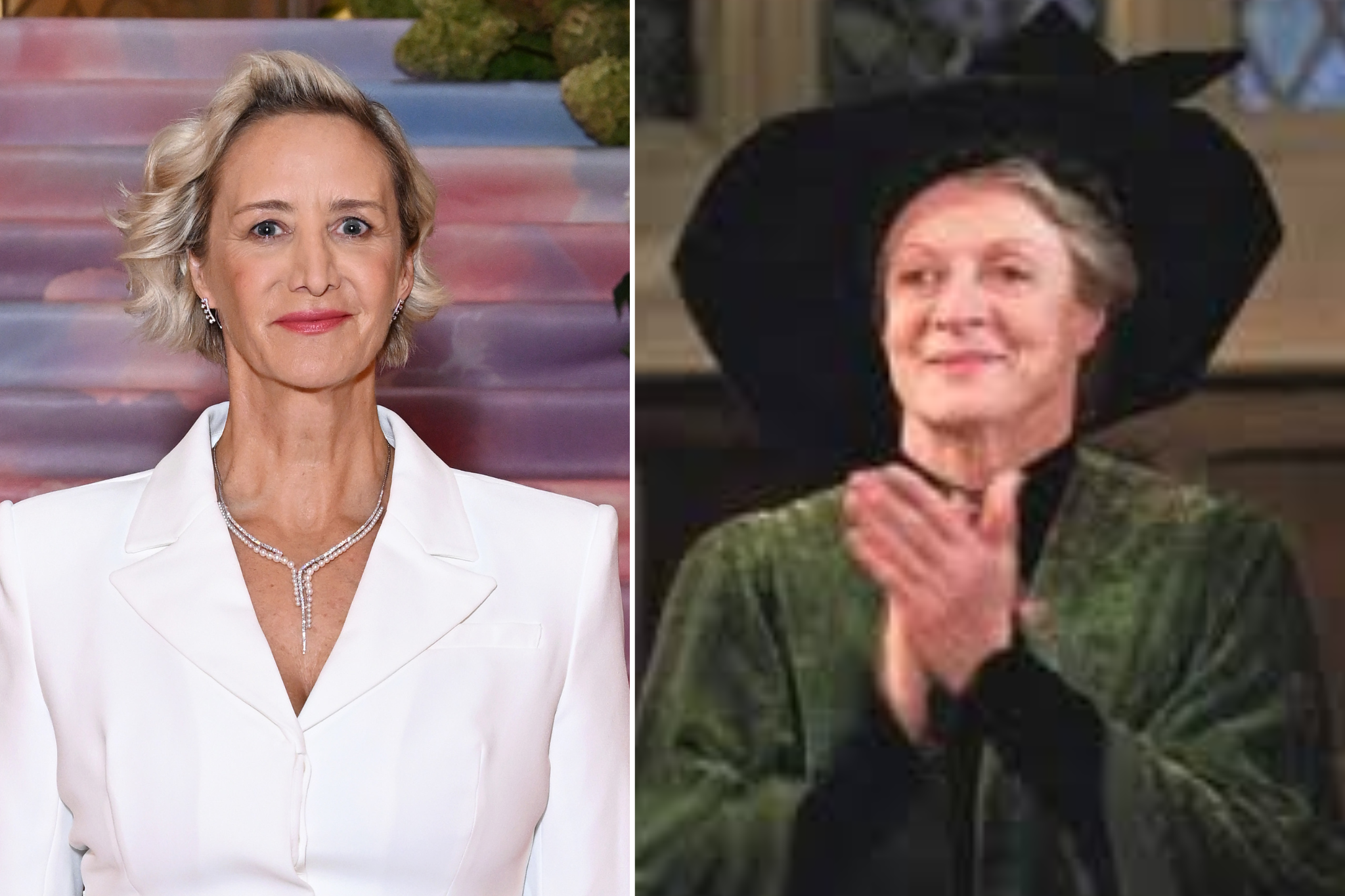 Janet McTeer will play Maggie Smith's role of Professor McGonagall