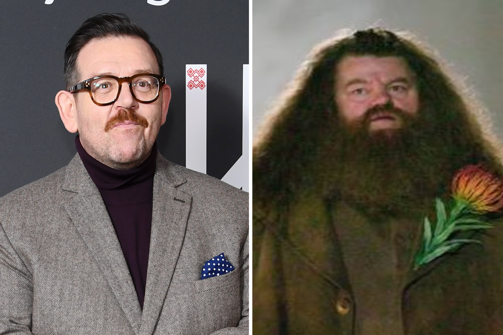 Nick Frost will play Hagrid, who was originally played by Robbie Coltrane