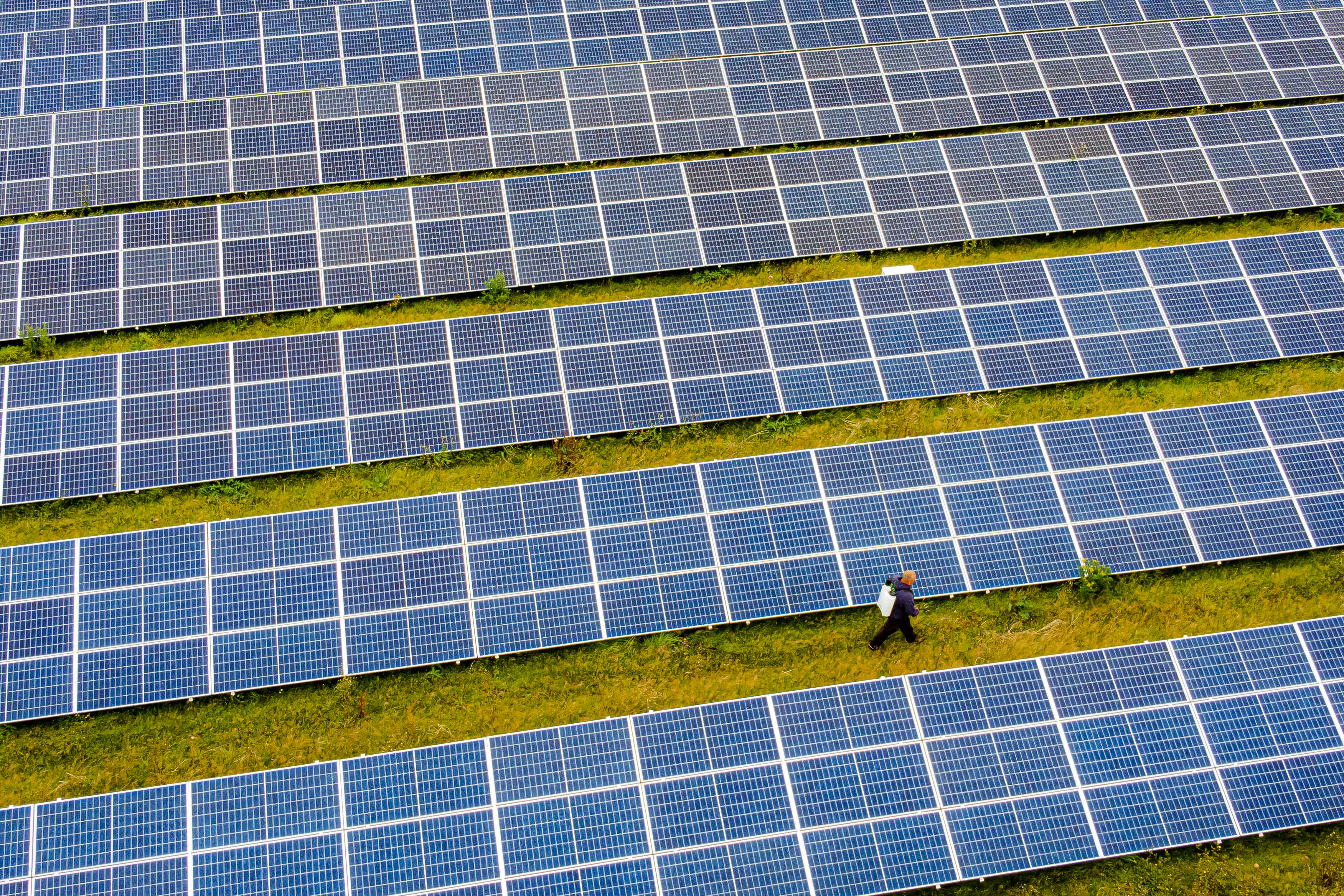 MPs clarified that solar power farms absorb light and do not reflect light