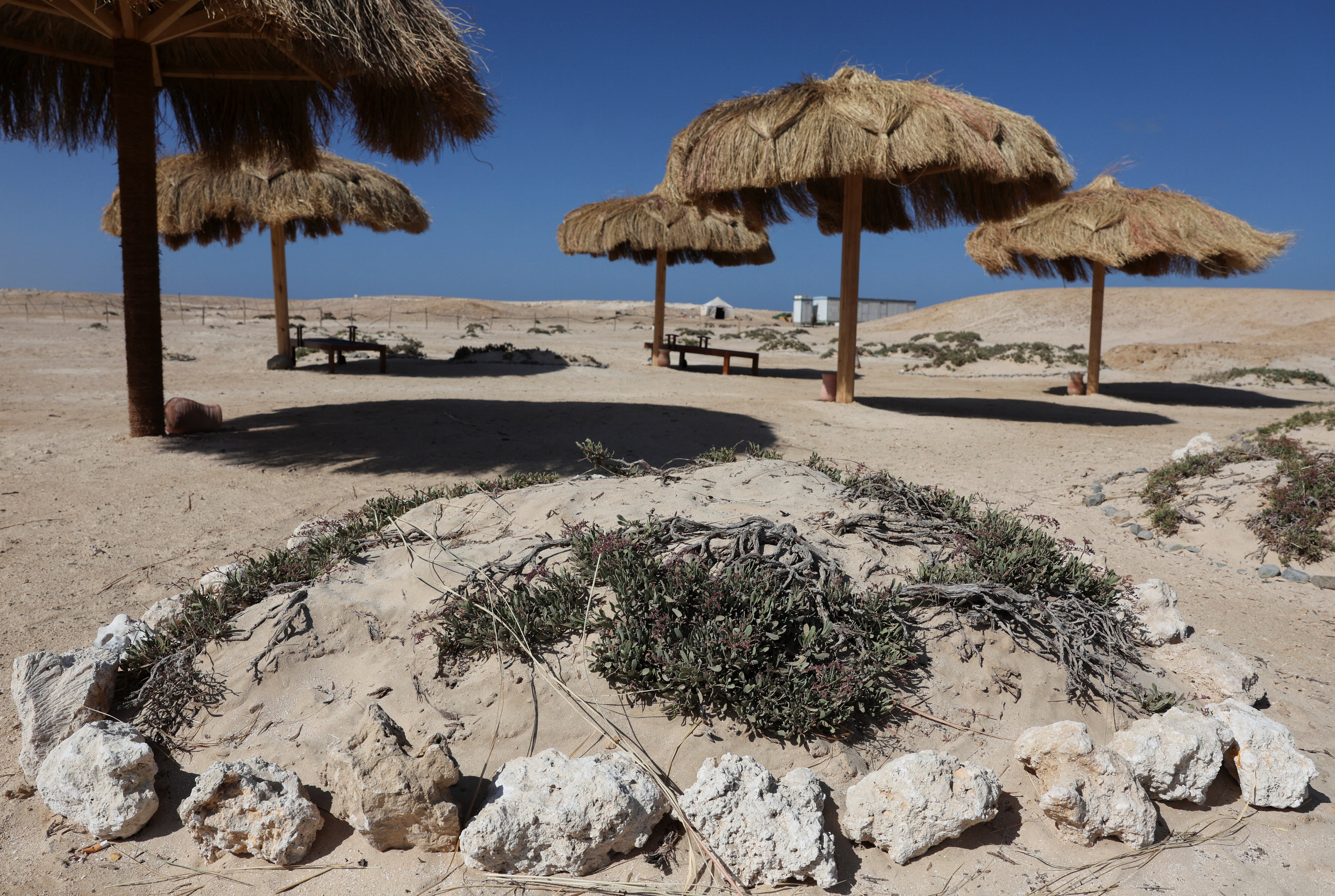 Umbrellas at Ras Hankorab beach, home to one of the country's last untouched marine ecosystems