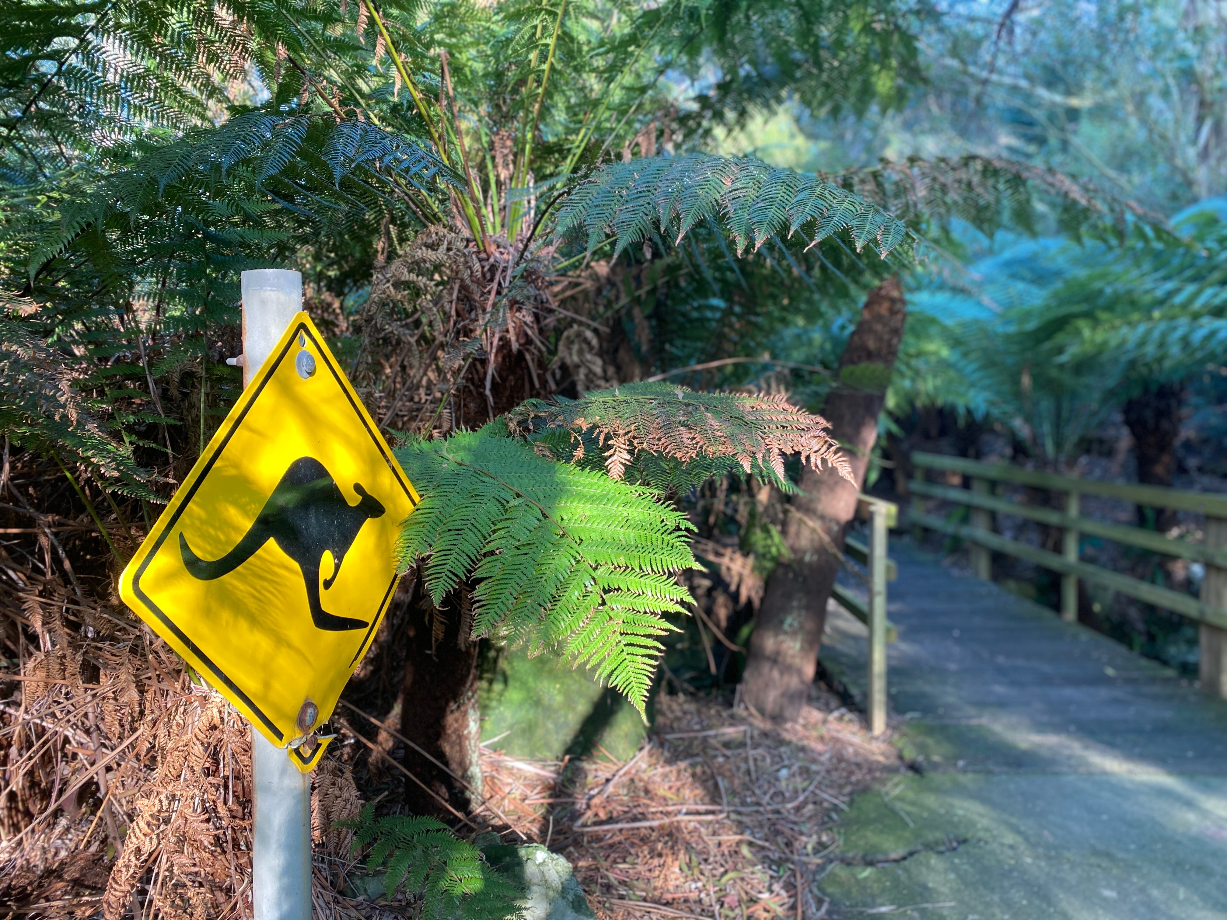 Ventnor Botanic Garden is a 22-acre subtropical sanctuary