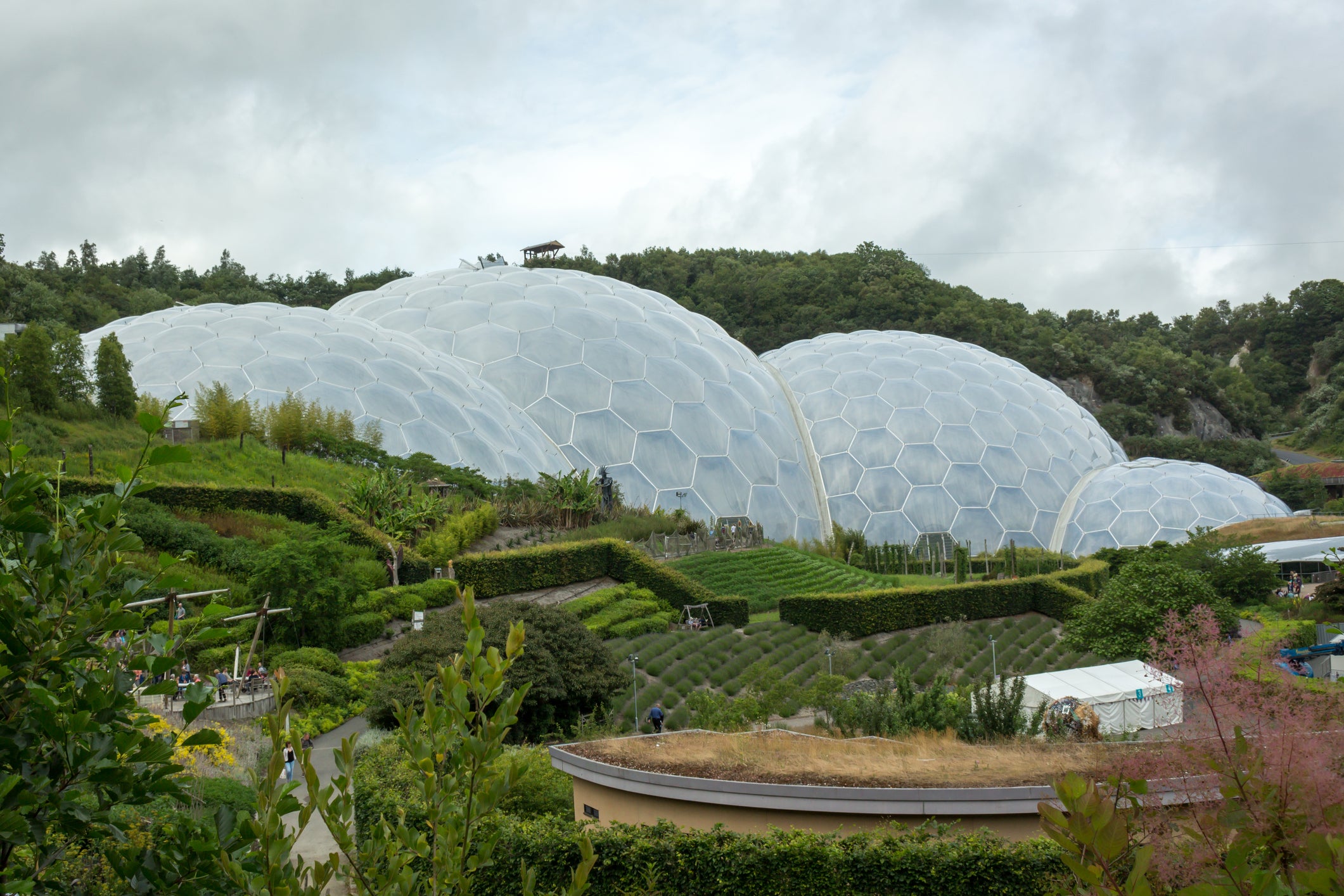 <p>Most of the Eden Project’s sights are indoors</p>