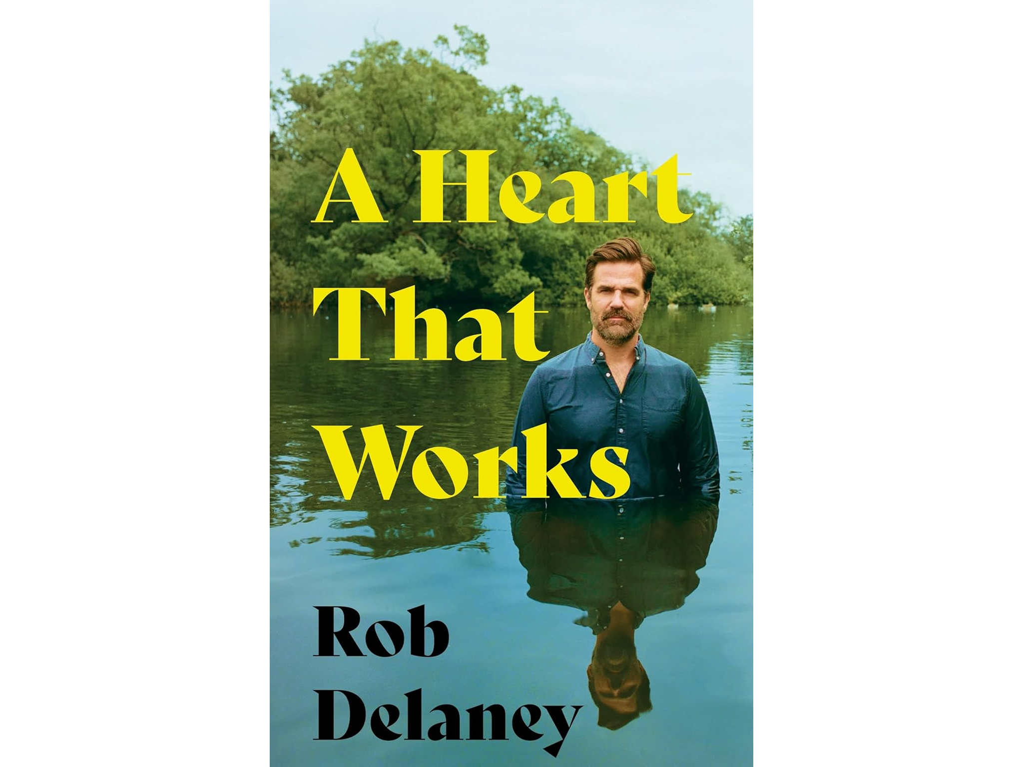 Rob Delaney best autobiographies review indybest