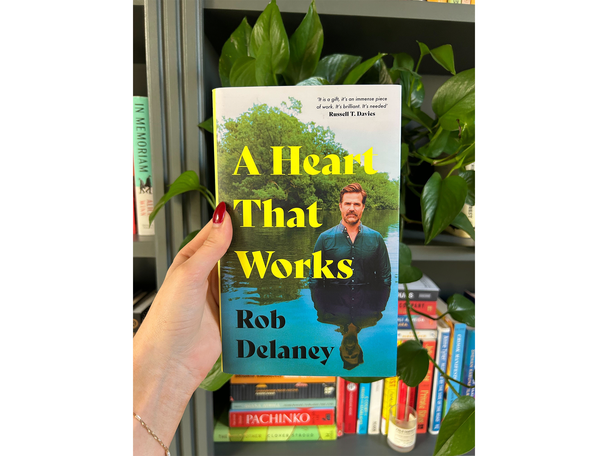 Rob Delaney testing best autobiographies review indybest