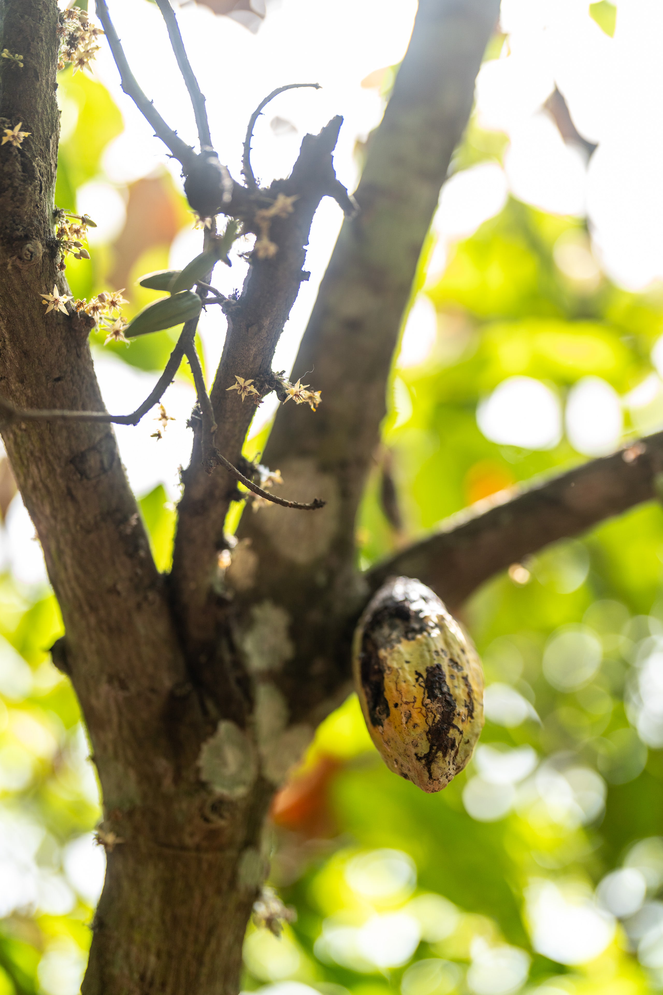 Farmers living in poverty are calling for help